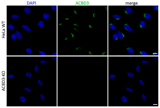 Ijms 22 07270 g0a1 550