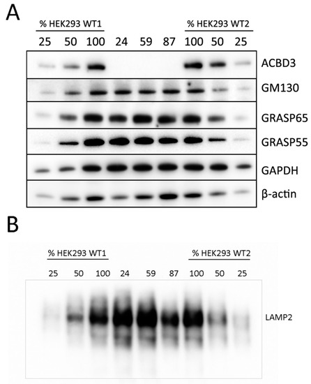 Ijms 22 07270 g0a2 550