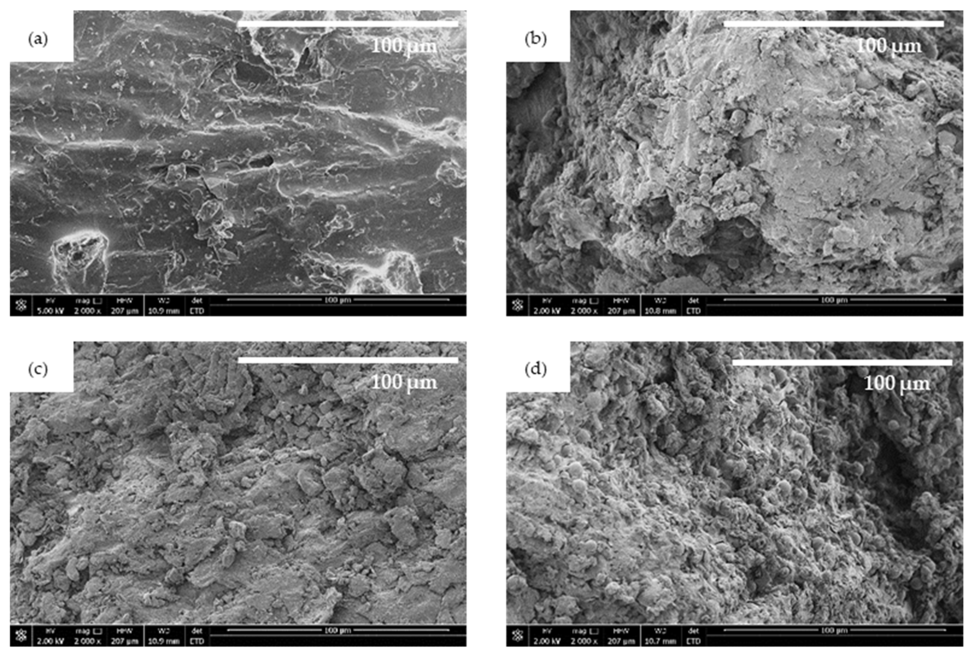 Ijms 22 07304 g001 Ijms 22 07304 g001