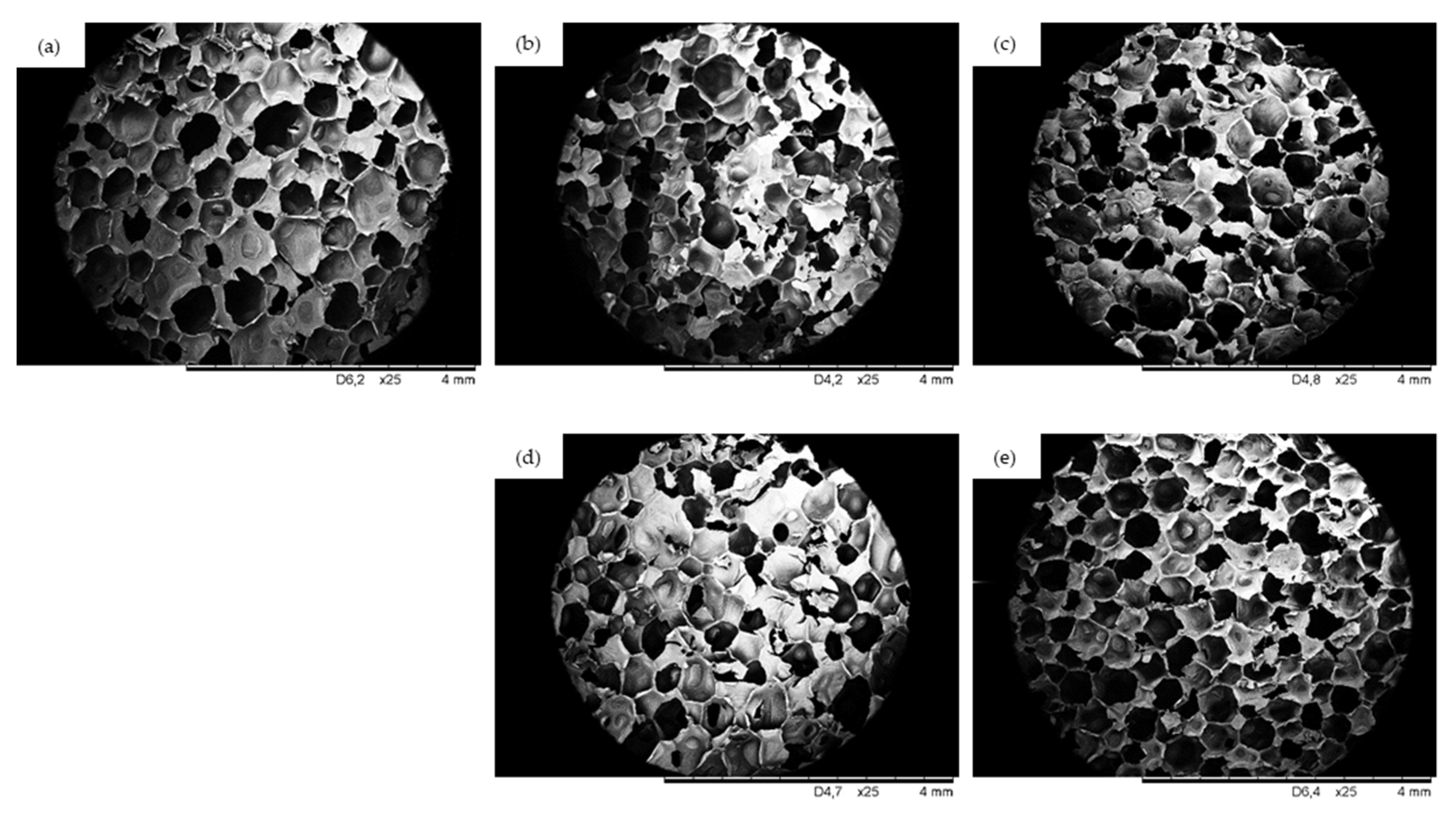 Ijms 22 07304 g004 Ijms 22 07304 g004