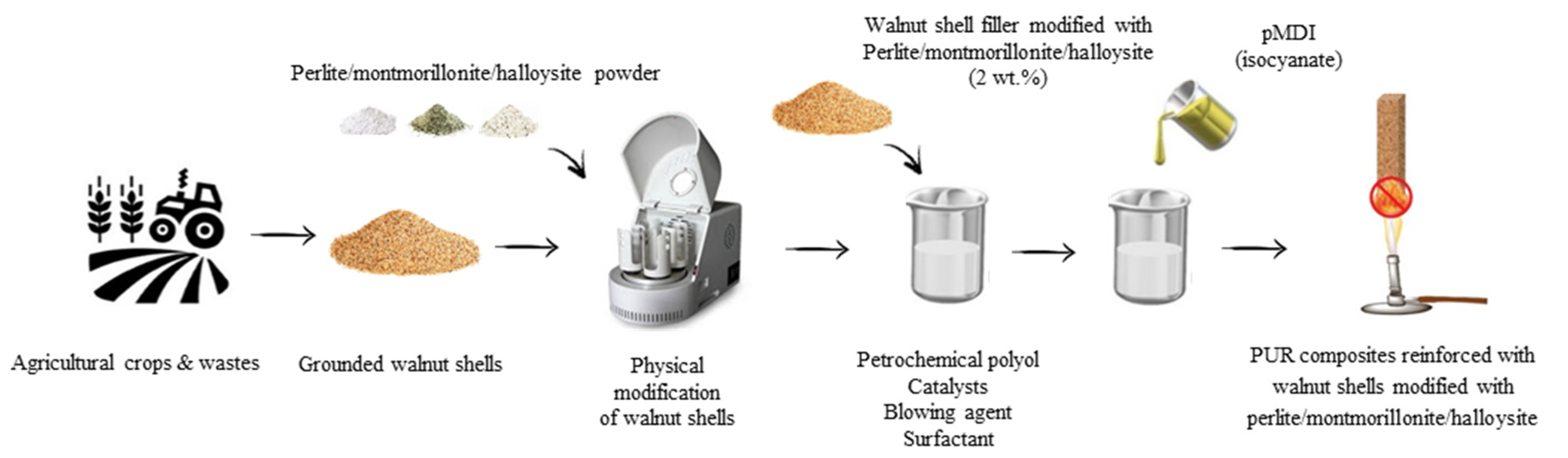 Ijms 22 07304 g013 Ijms 22 07304 g013