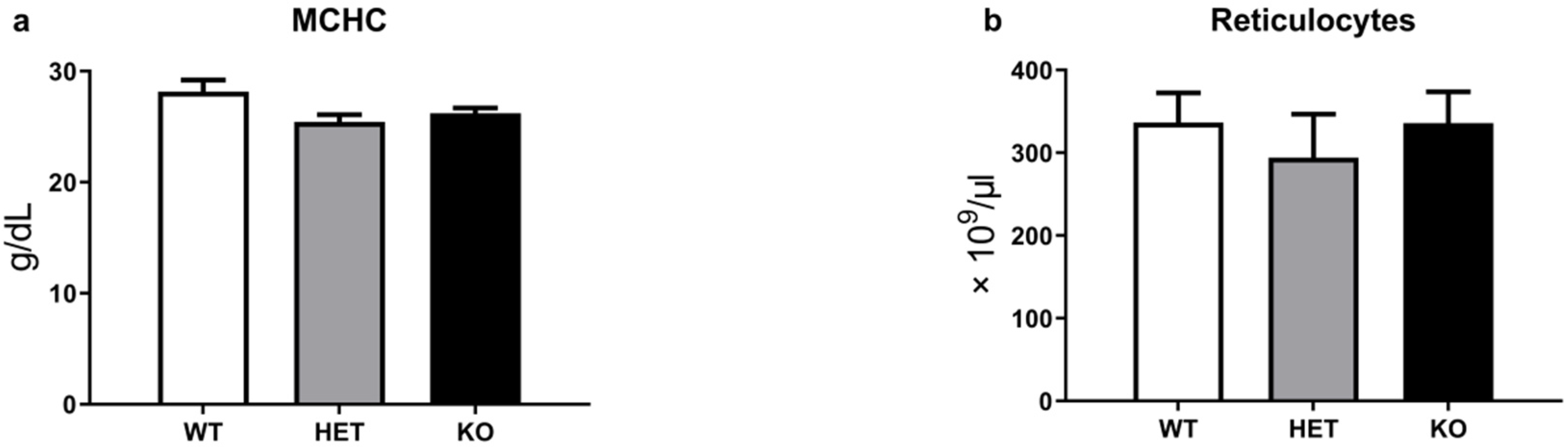 Ijms 22 07307 g002 Ijms 22 07307 g002