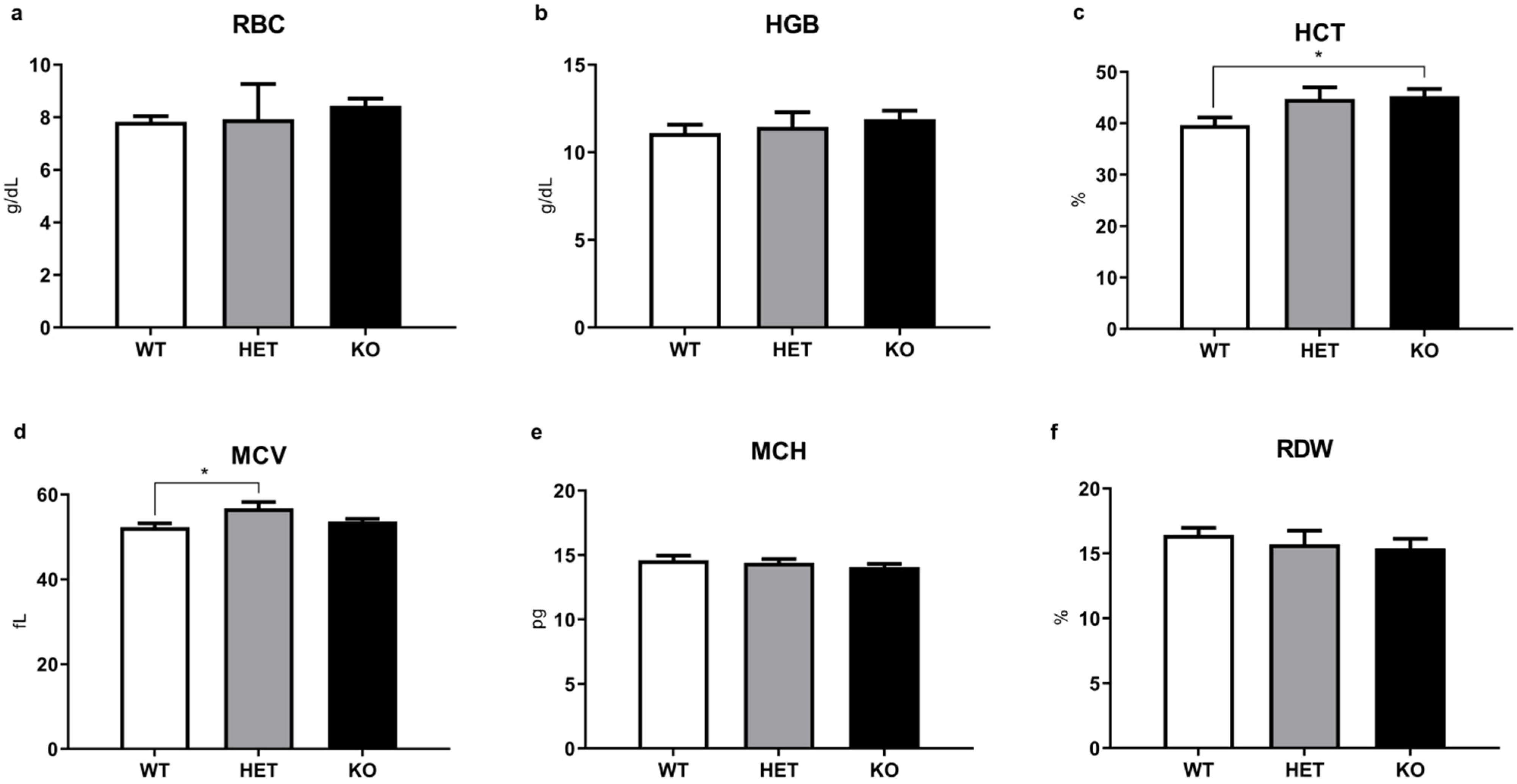 Ijms 22 07307 g004 Ijms 22 07307 g004