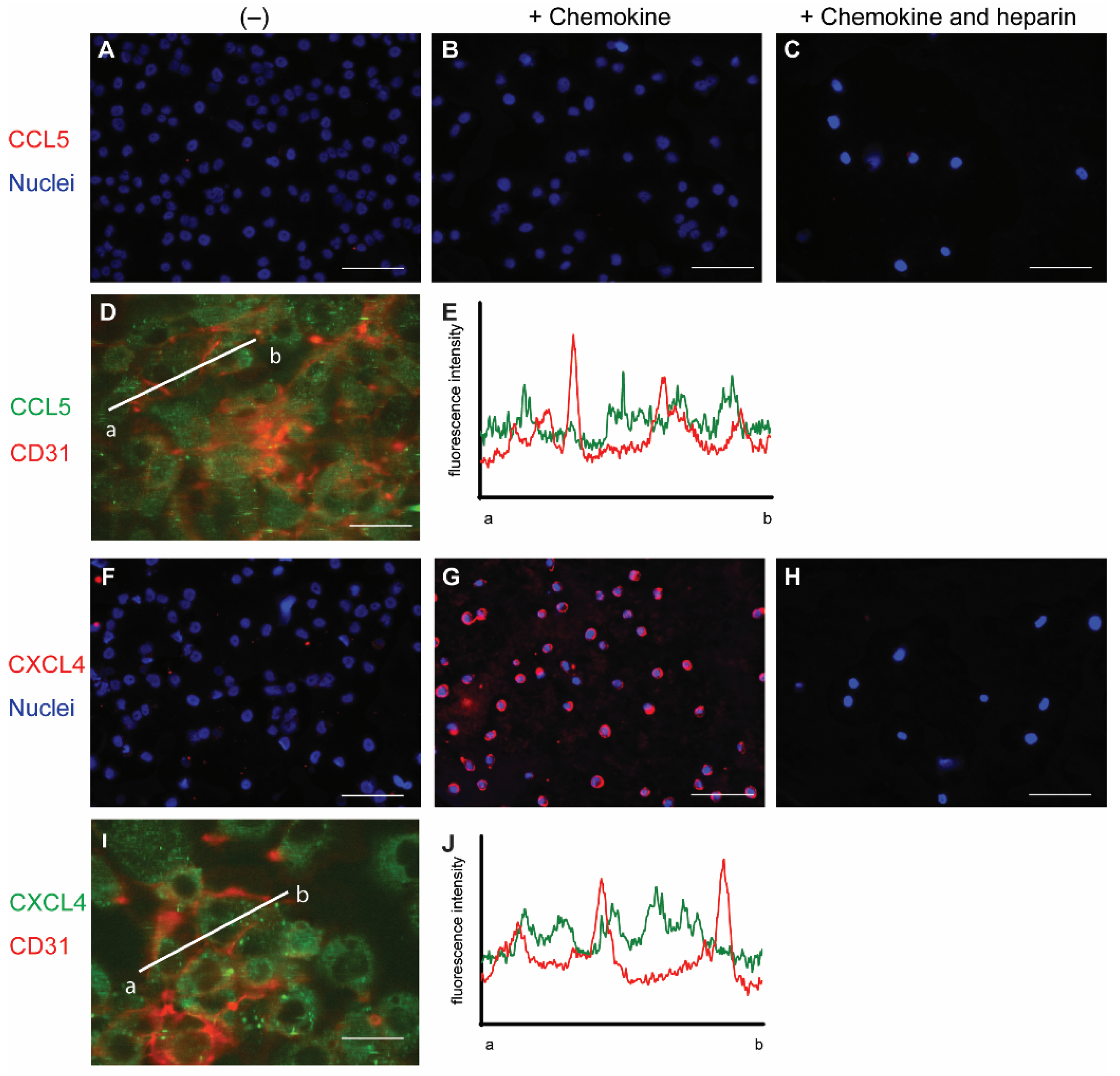 Ijms 22 07332 g001 Ijms 22 07332 g001
