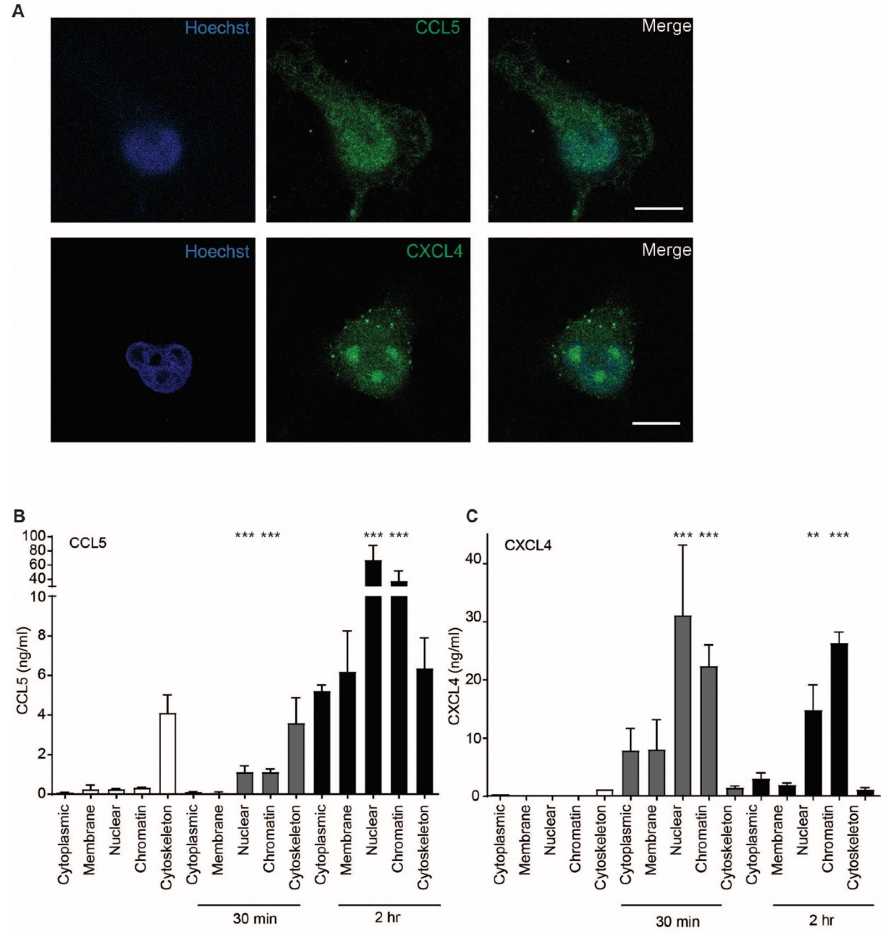 Ijms 22 07332 g007 Ijms 22 07332 g007