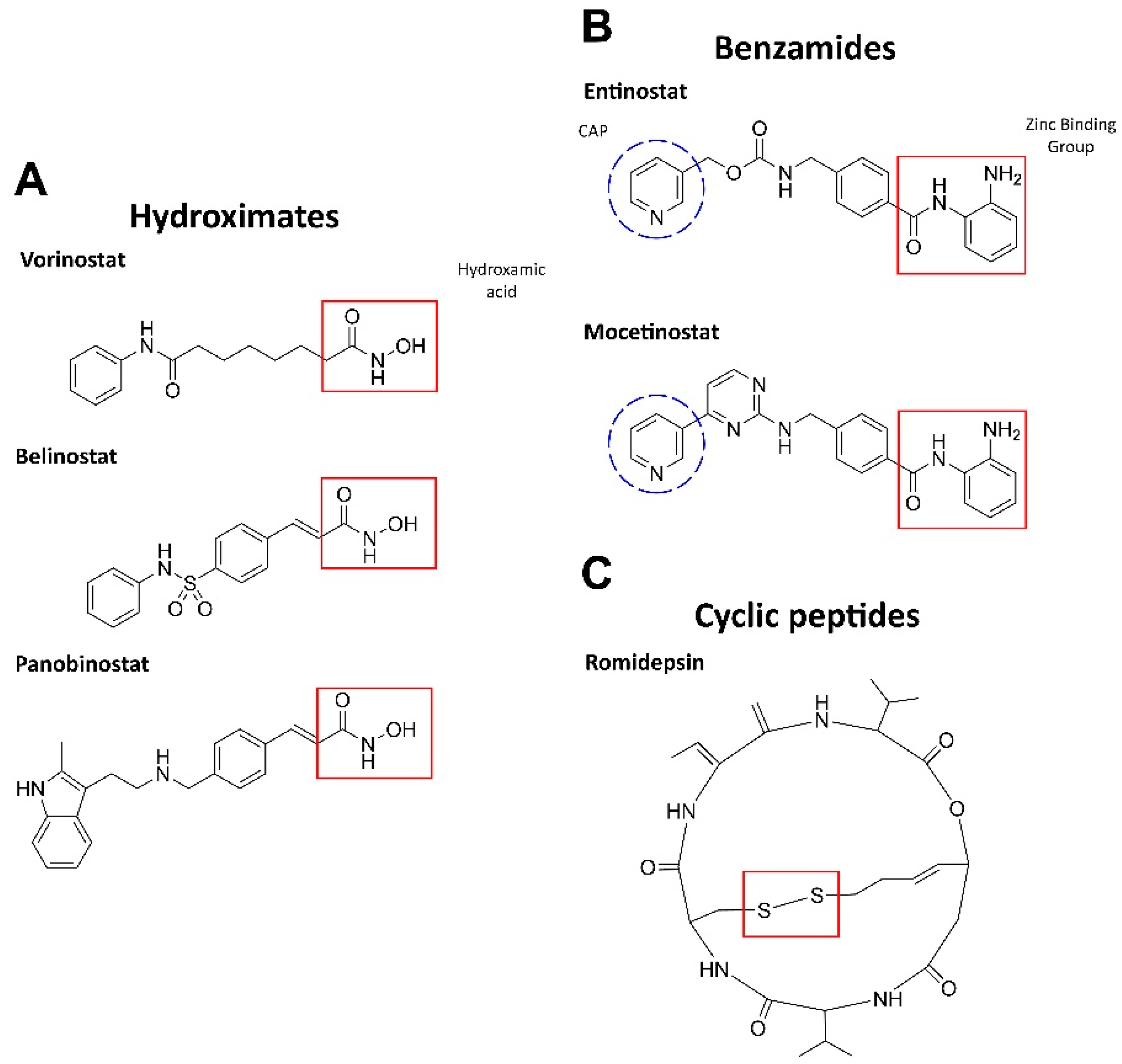 Ijms 22 07340 g001 Ijms 22 07340 g001