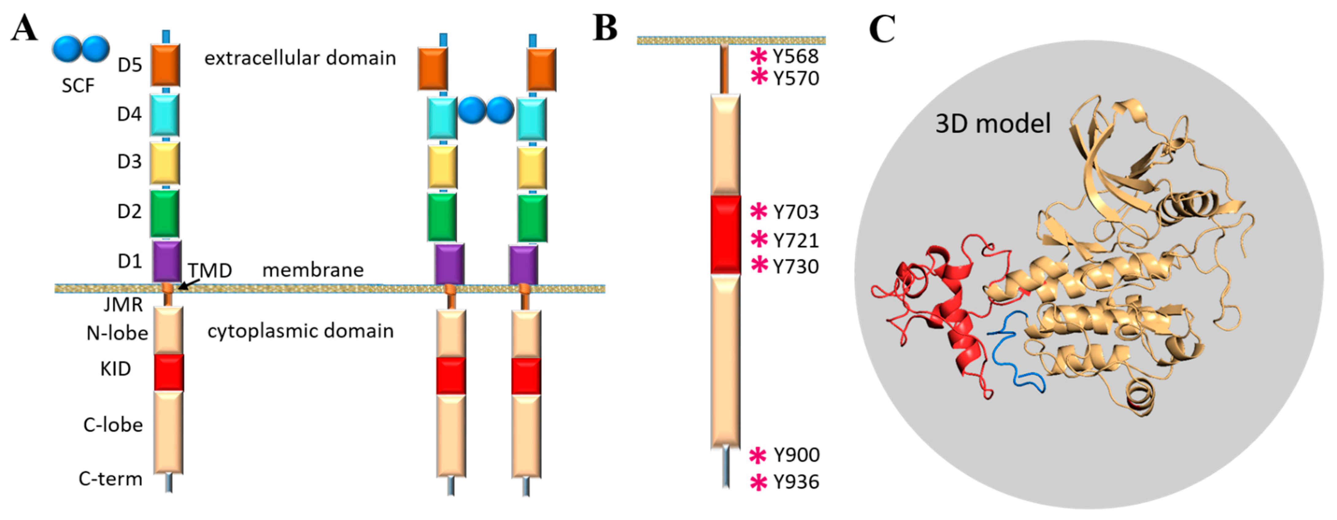 Ijms 22 07375 g001 Ijms 22 07375 g001