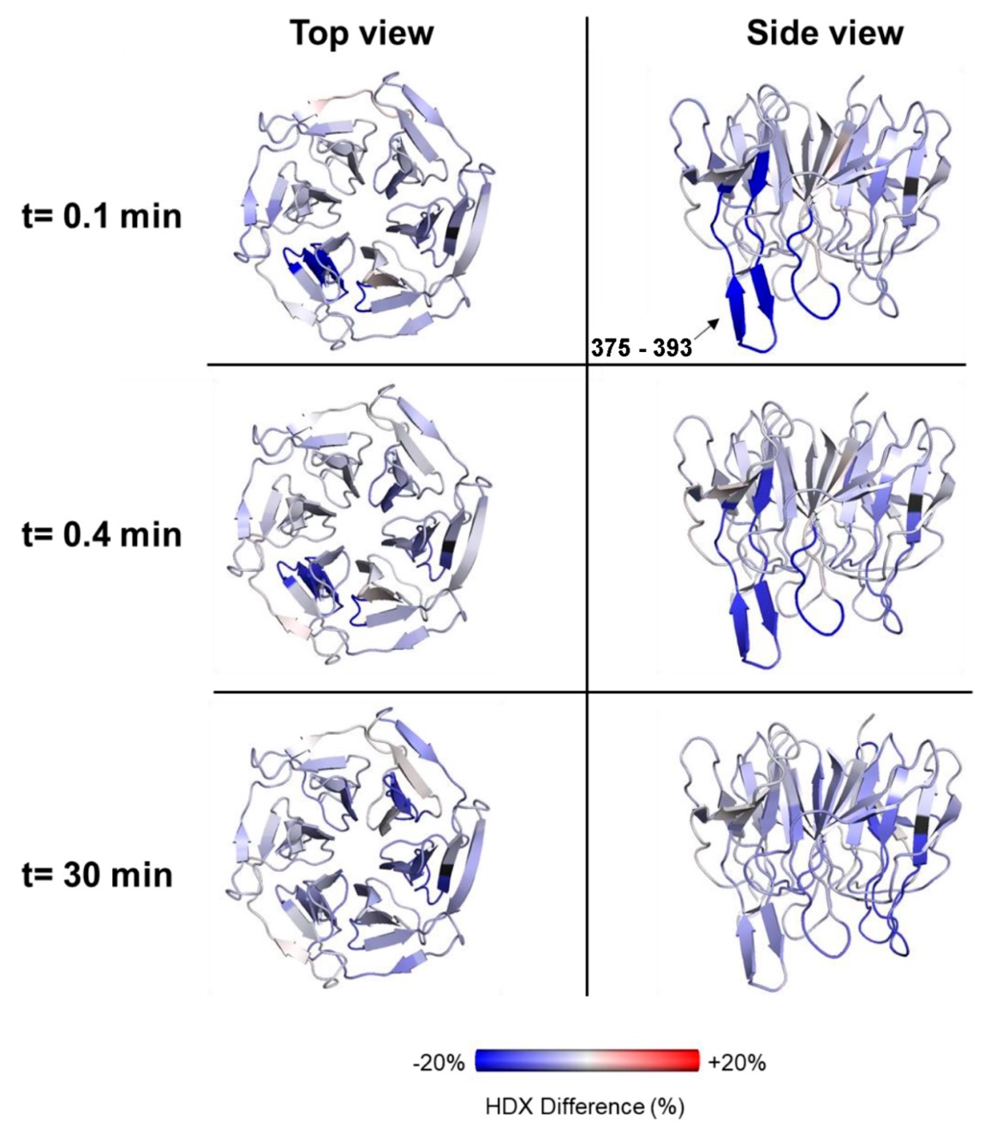 Ijms 22 07434 g007