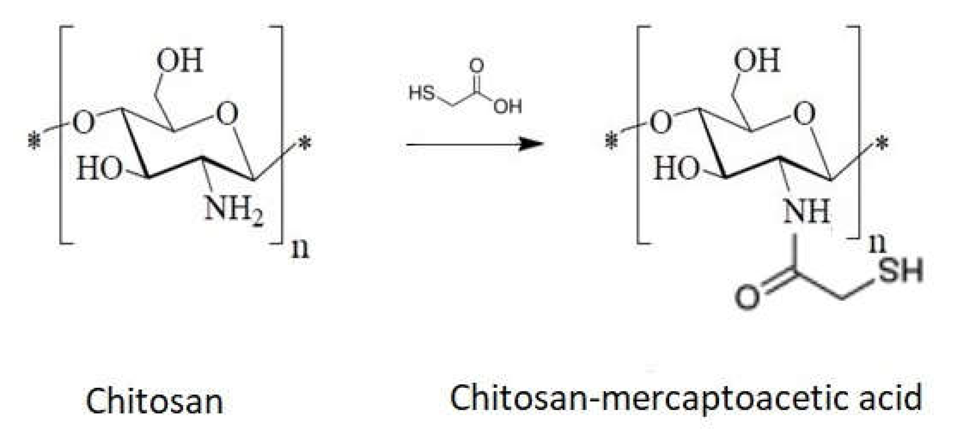 Ijms 22 07449 g014 Ijms 22 07449 g014