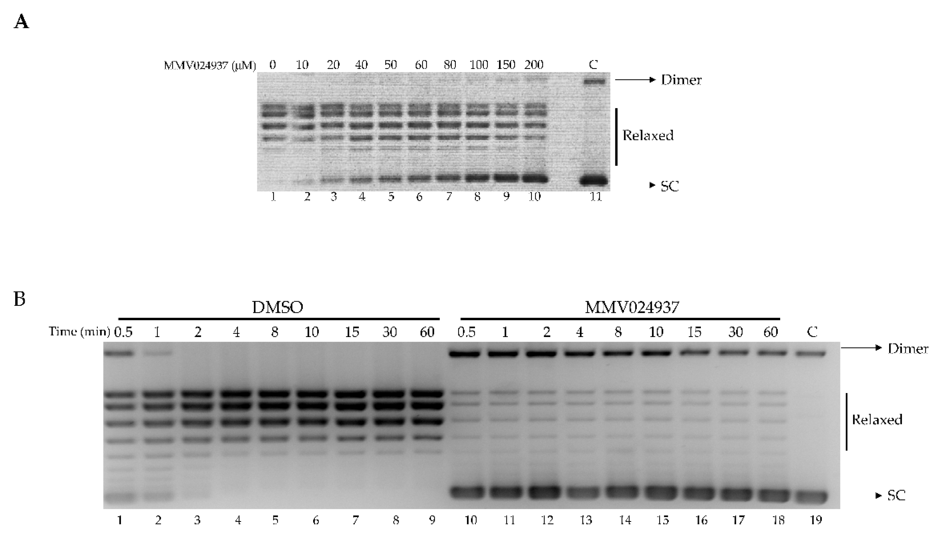Ijms 22 07455 g002 Ijms 22 07455 g002