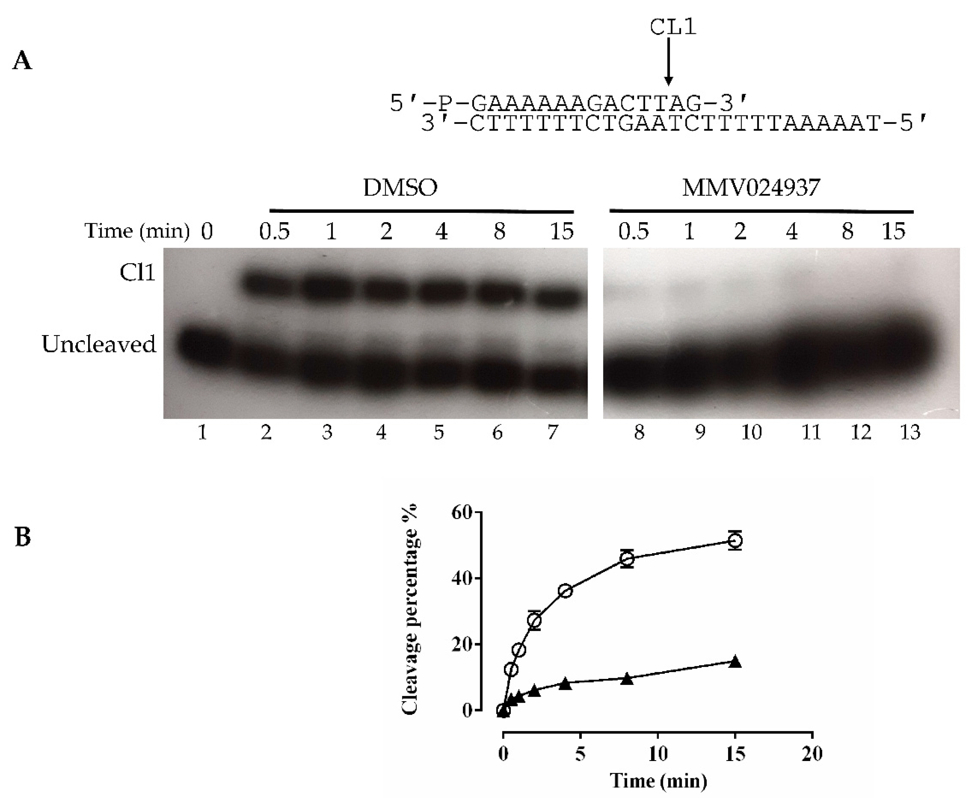 Ijms 22 07455 g003 Ijms 22 07455 g003
