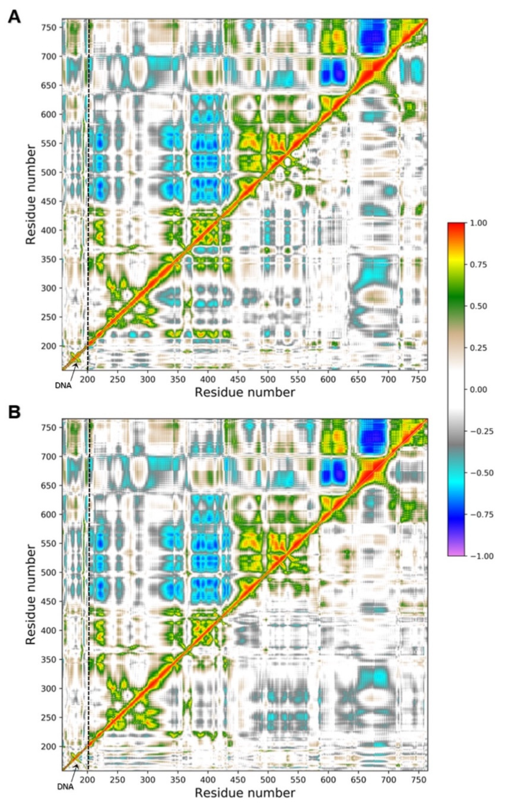 Ijms 22 07455 g006 Ijms 22 07455 g006