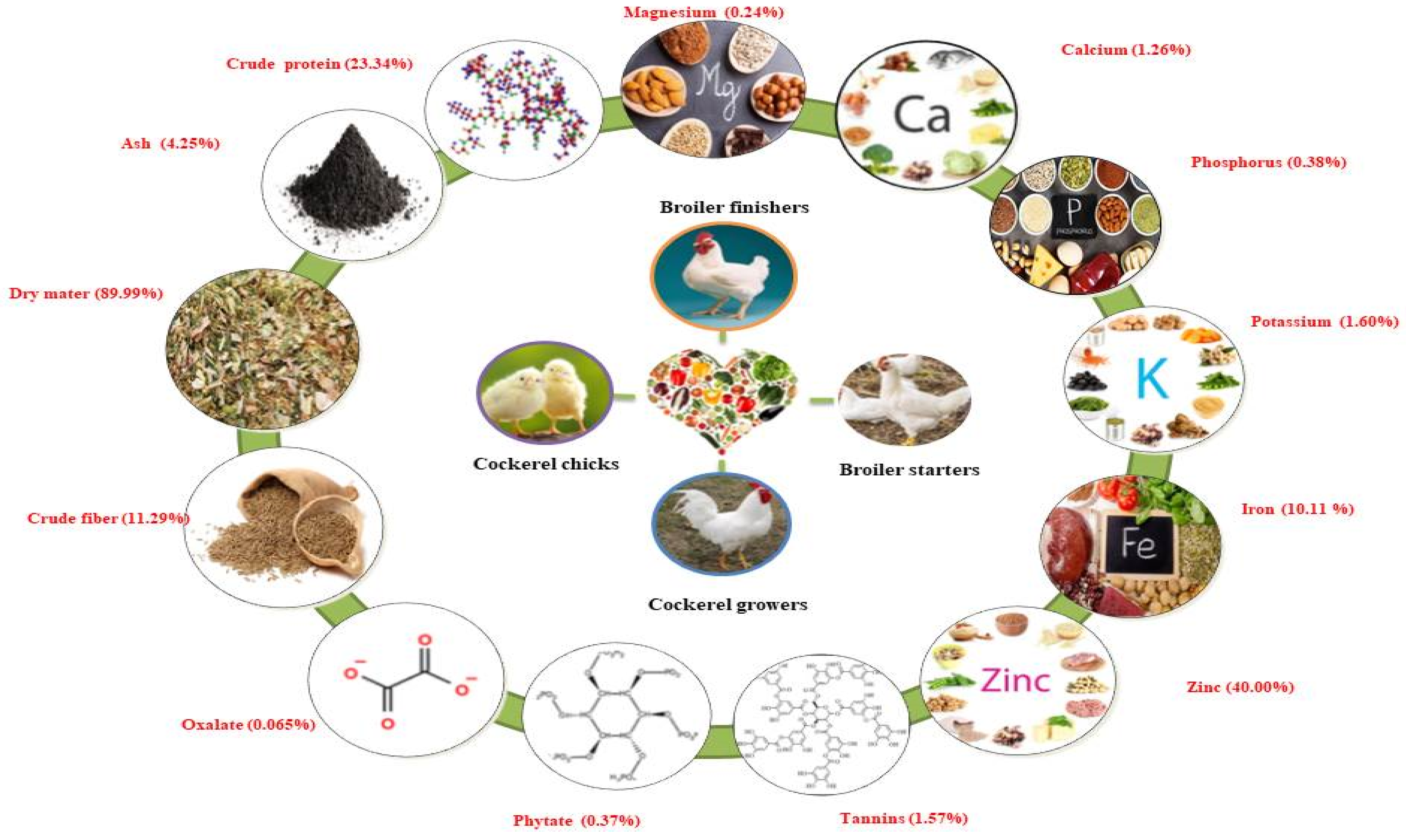 Ijms 22 07463 g002 Ijms 22 07463 g002