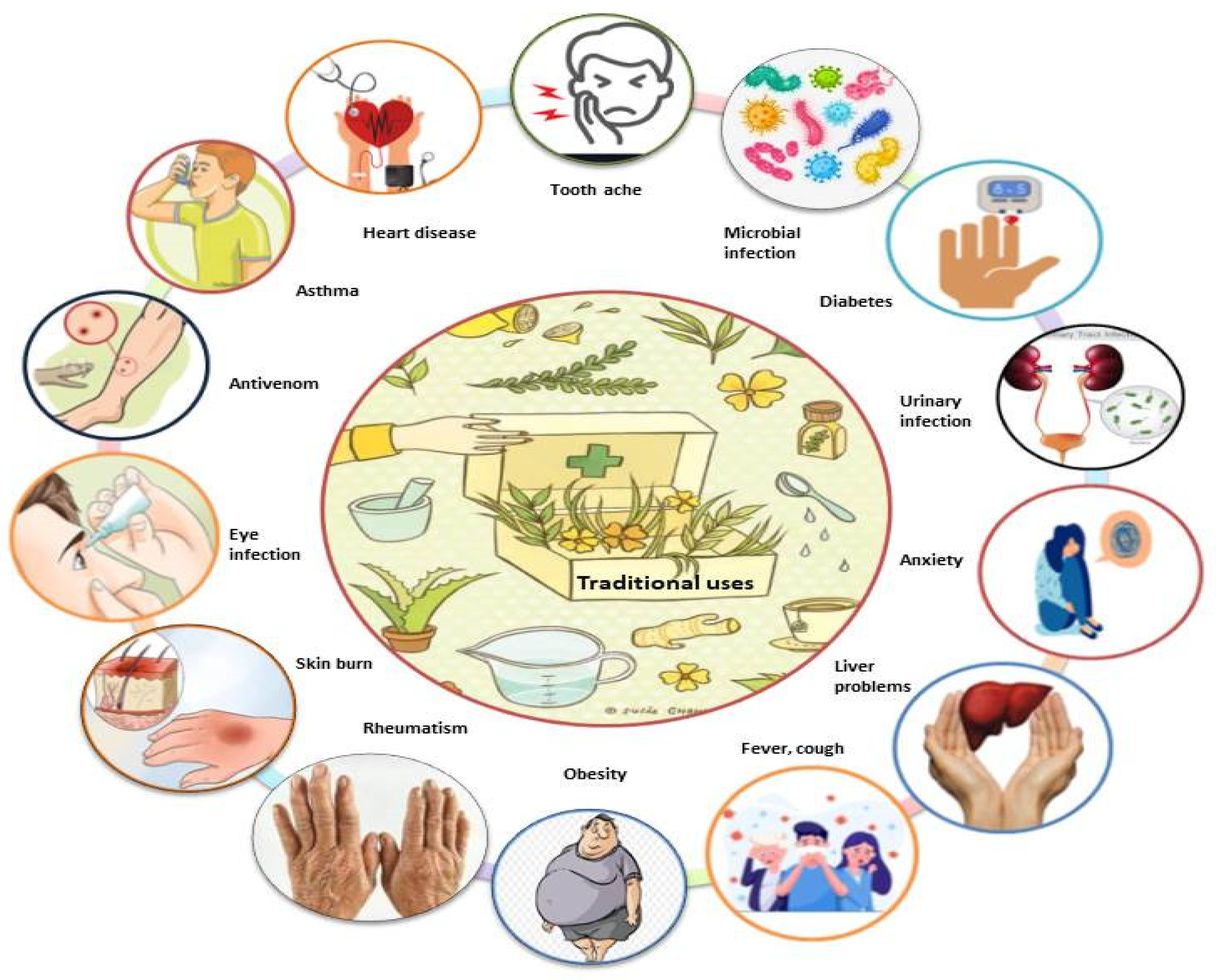 Ijms 22 07463 g003 Ijms 22 07463 g003