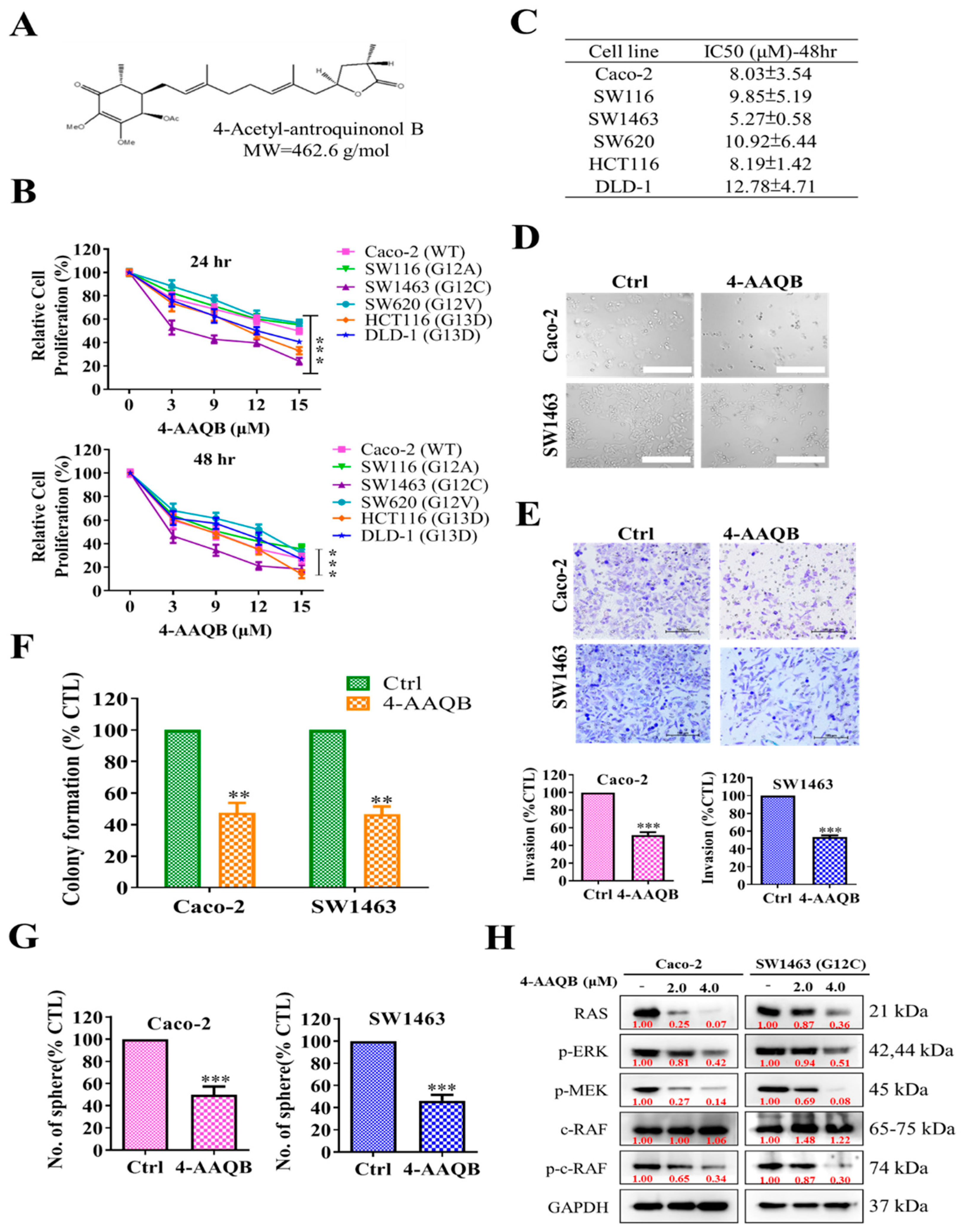 Ijms 22 07508 g003 Ijms 22 07508 g003
