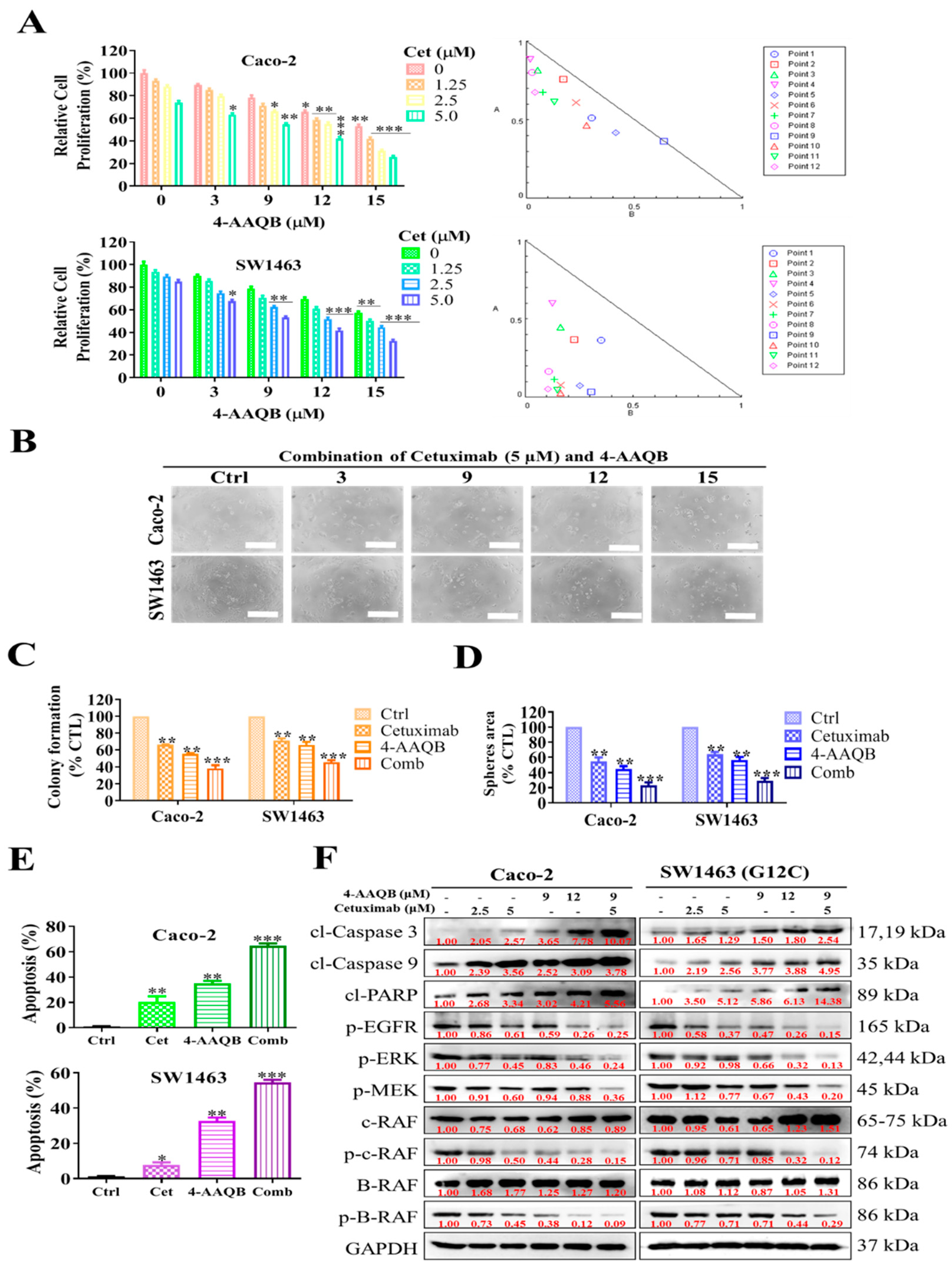 Ijms 22 07508 g004 Ijms 22 07508 g004