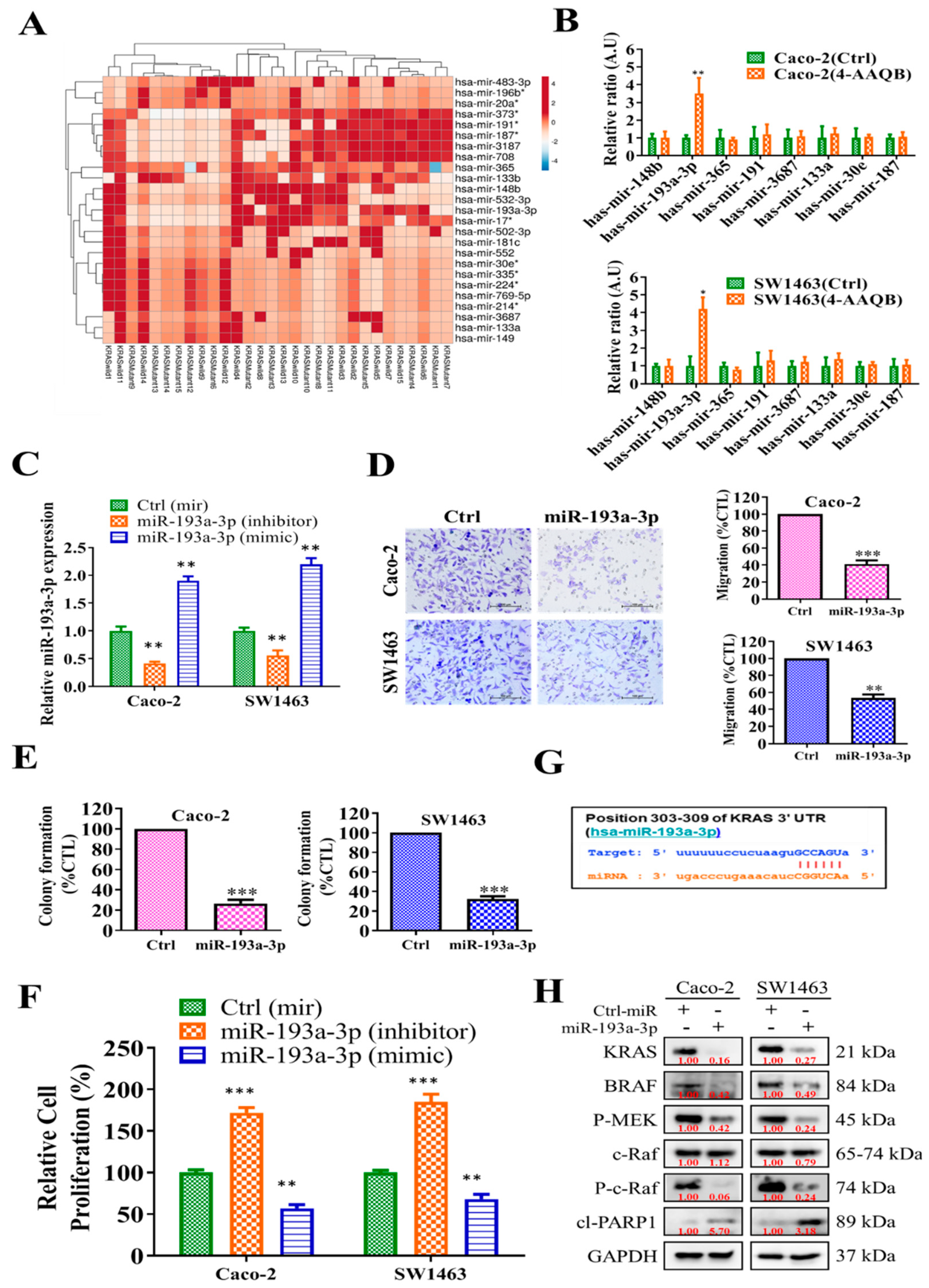 Ijms 22 07508 g005 Ijms 22 07508 g005