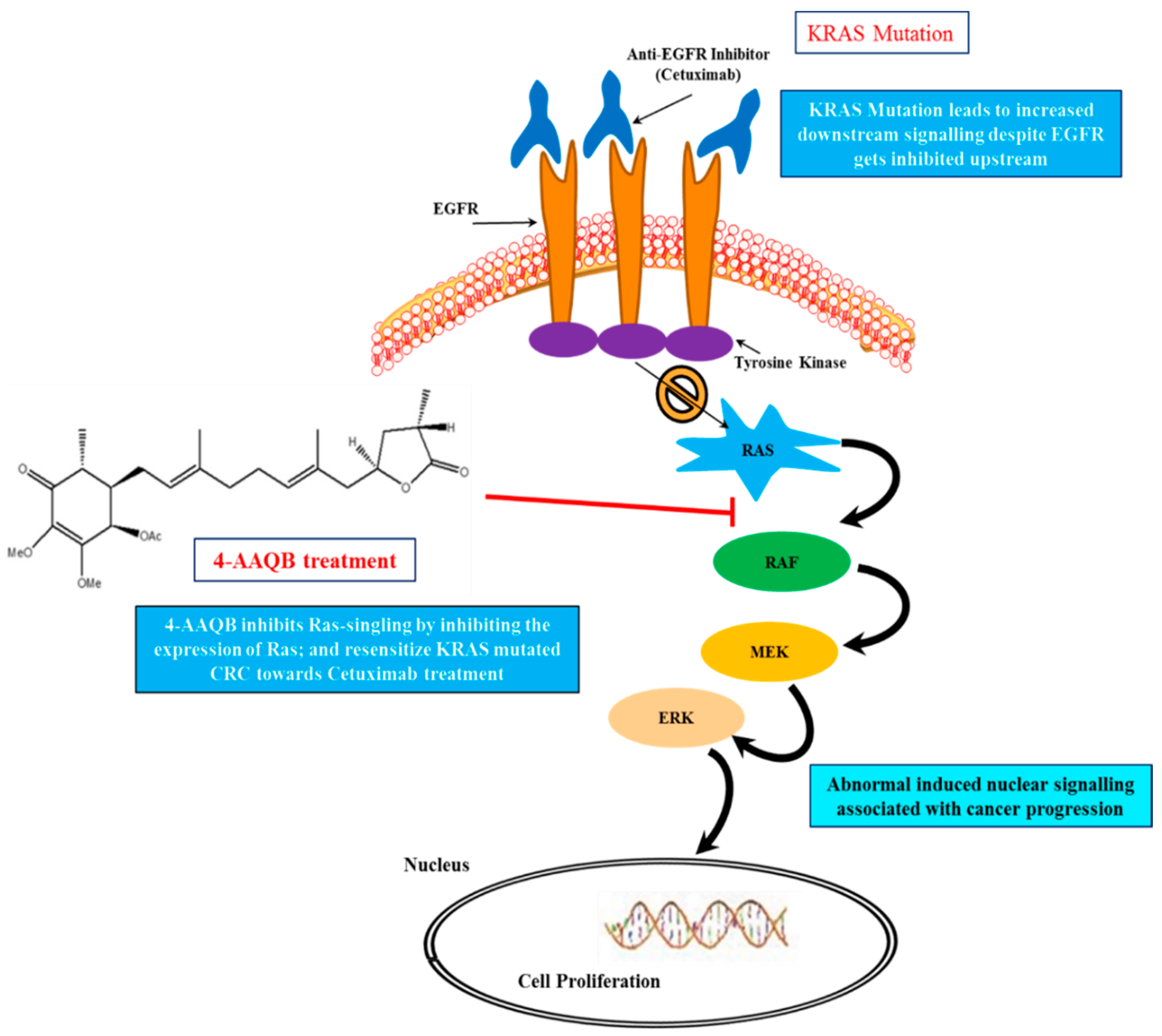 Ijms 22 07508 g007 Ijms 22 07508 g007