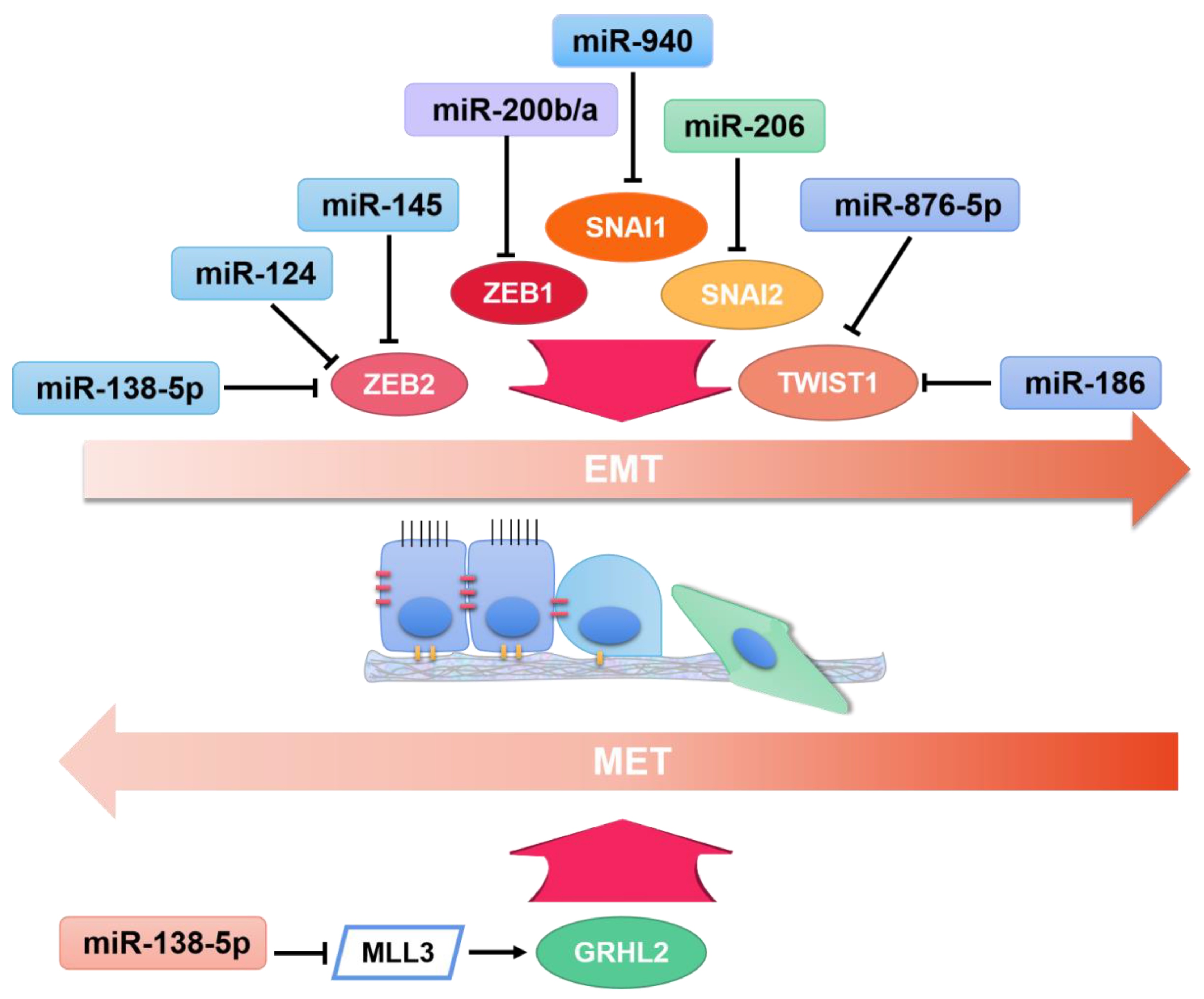Ijms 22 07526 g002 Ijms 22 07526 g002