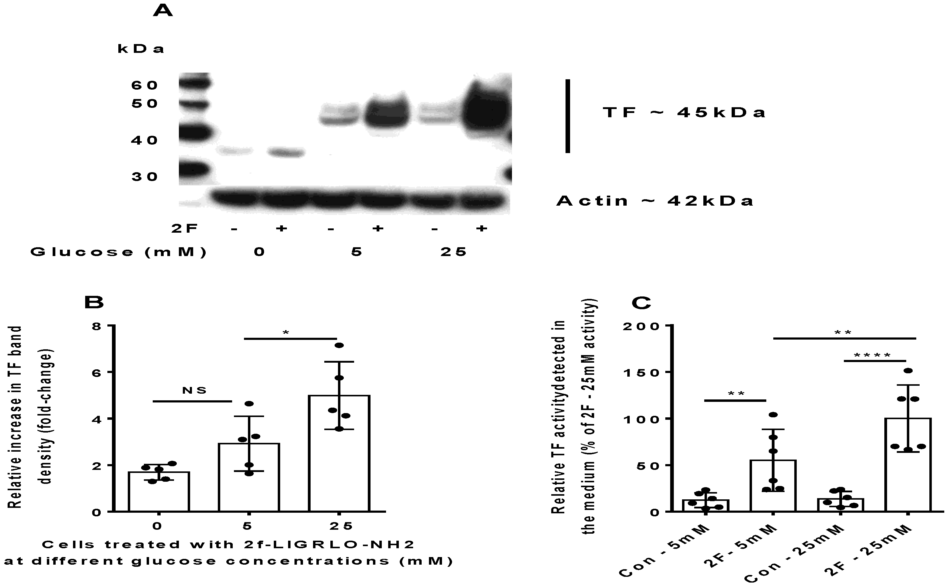 Ijms 22 07532 g002 Ijms 22 07532 g002