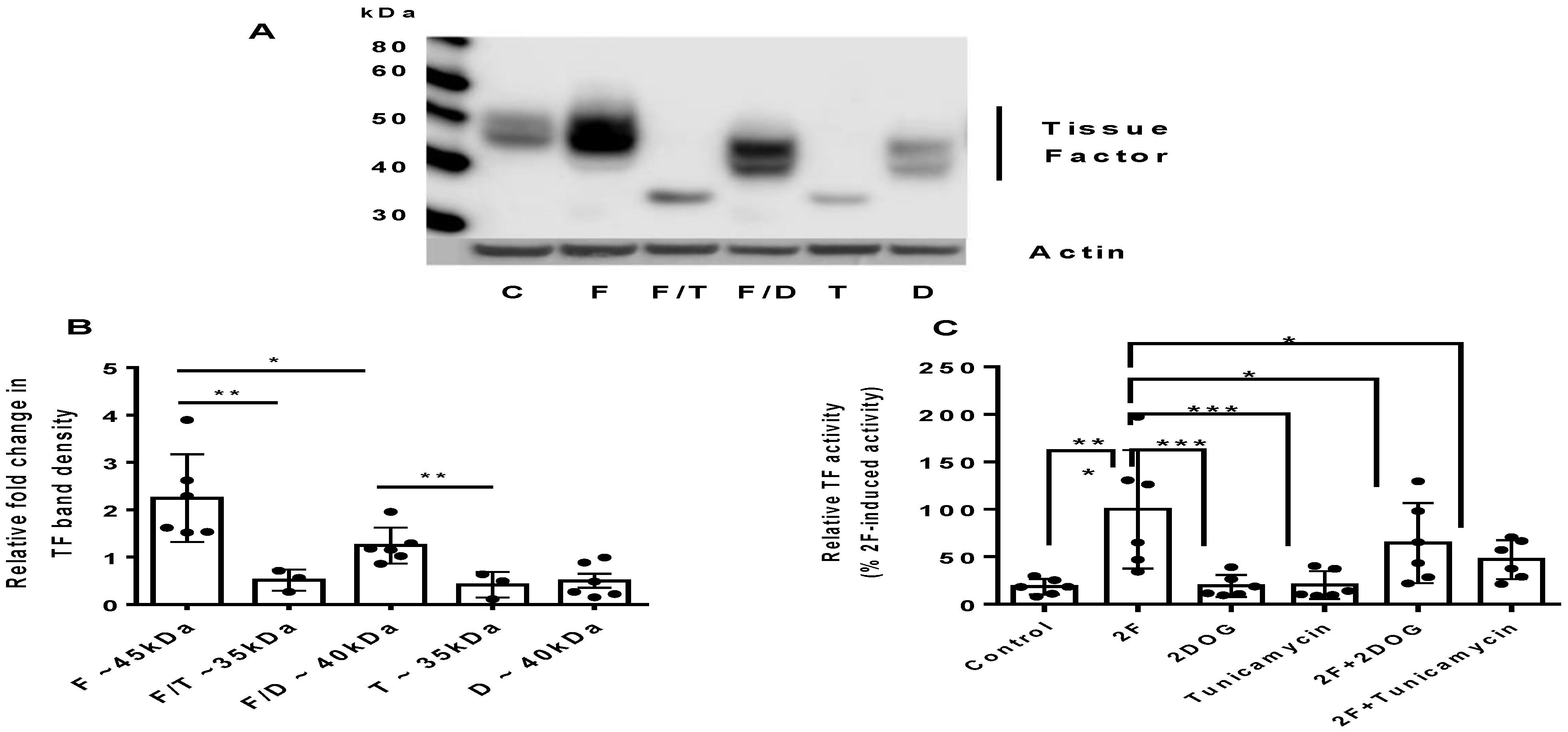 Ijms 22 07532 g003 Ijms 22 07532 g003