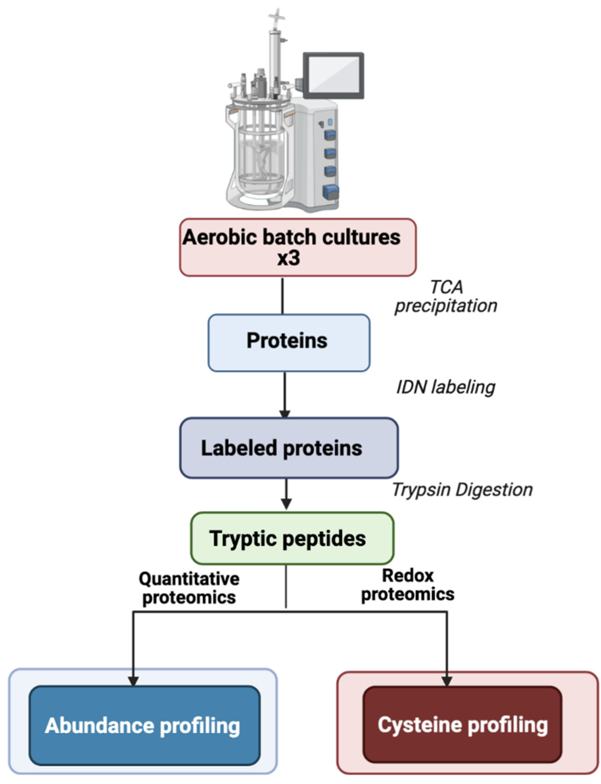 Ijms 22 07550 g001 Ijms 22 07550 g001