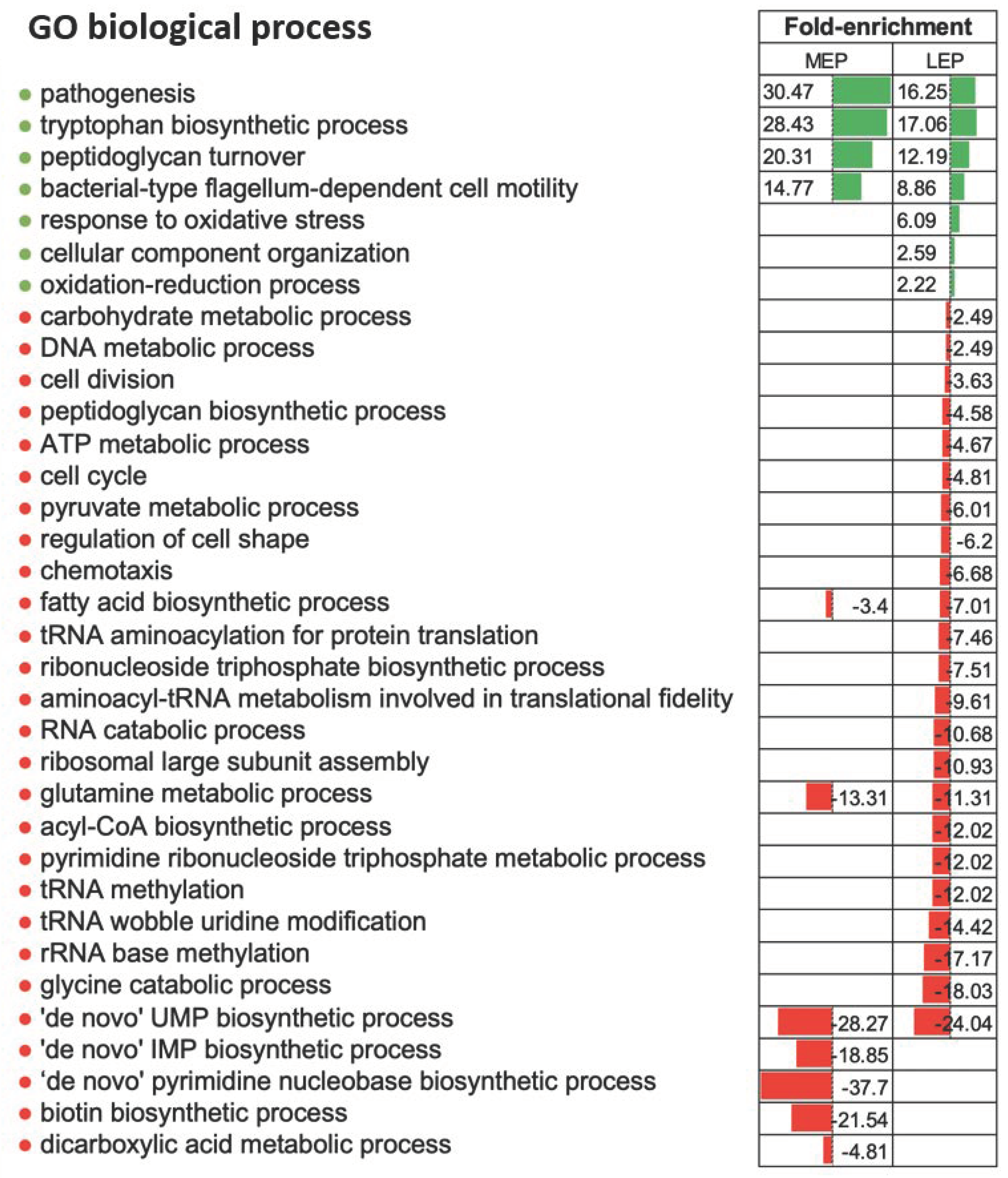 Ijms 22 07550 g002 Ijms 22 07550 g002