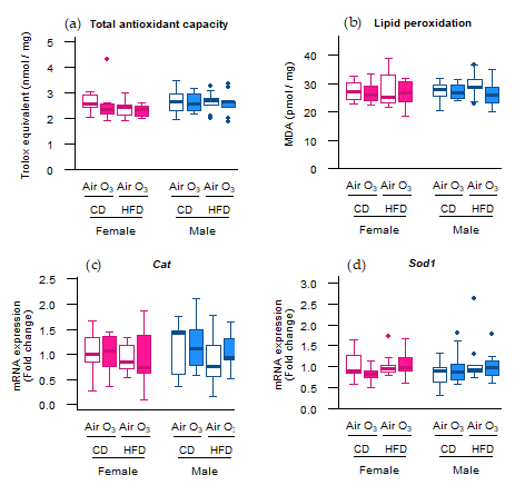 Ijms 22 07551 g002 Ijms 22 07551 g002
