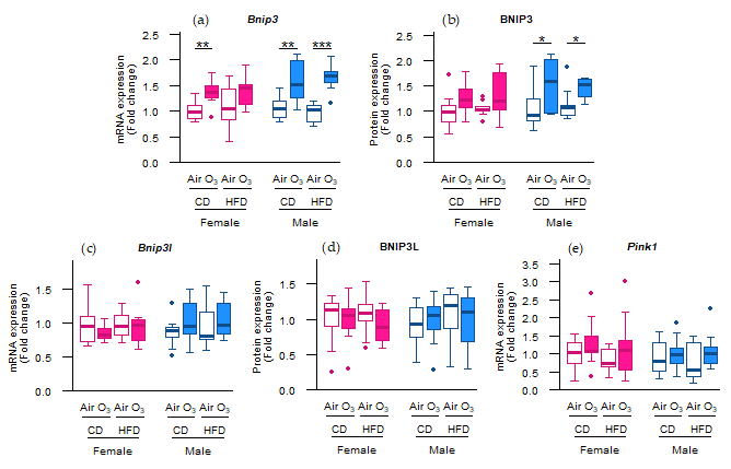 Ijms 22 07551 g003 Ijms 22 07551 g003