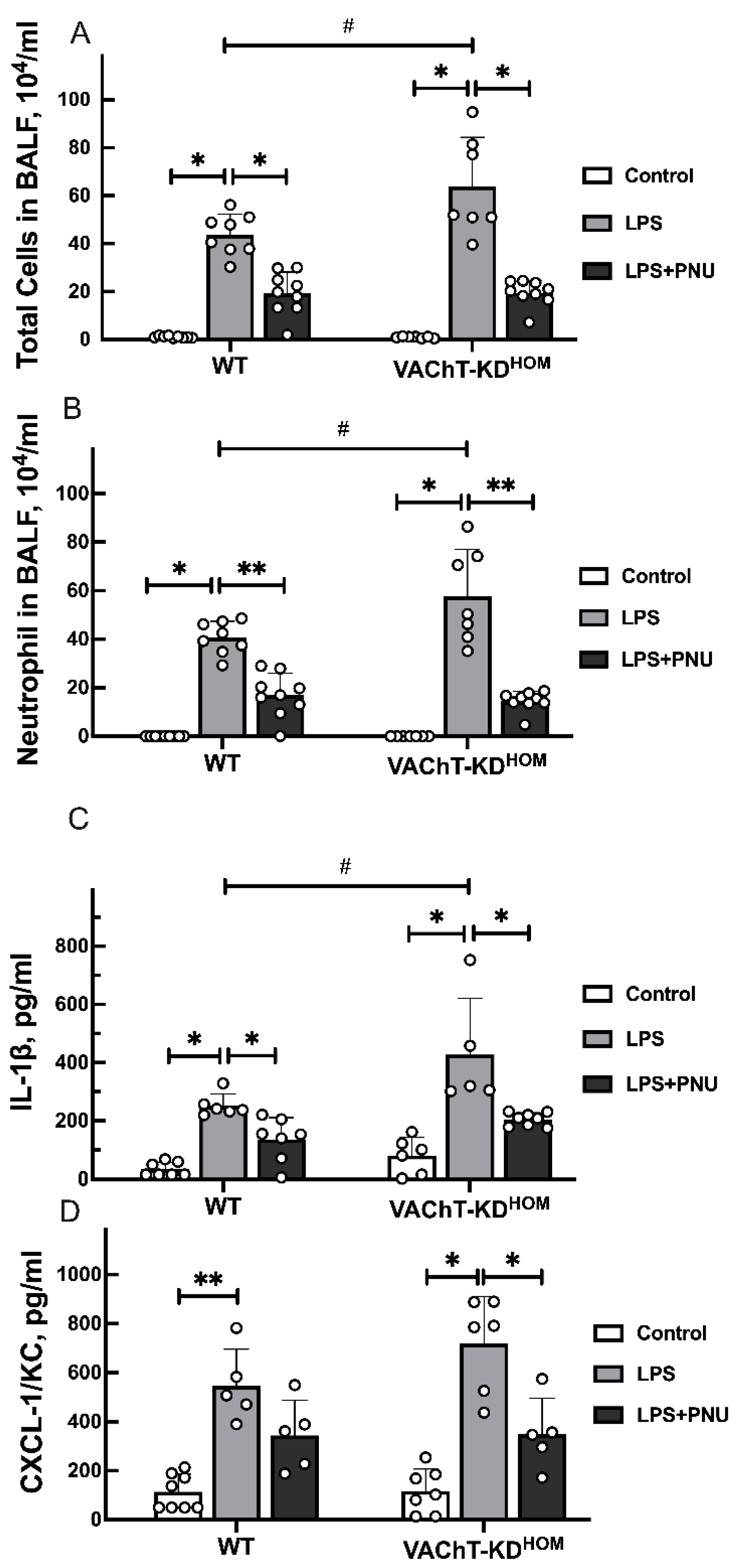 Ijms 22 07552 g002 Ijms 22 07552 g002