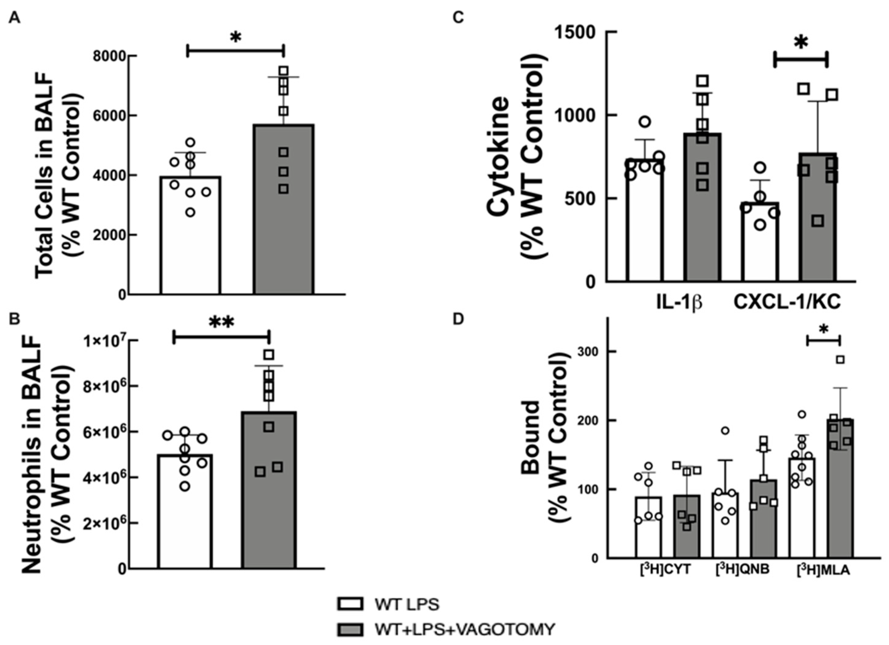 Ijms 22 07552 g004 Ijms 22 07552 g004