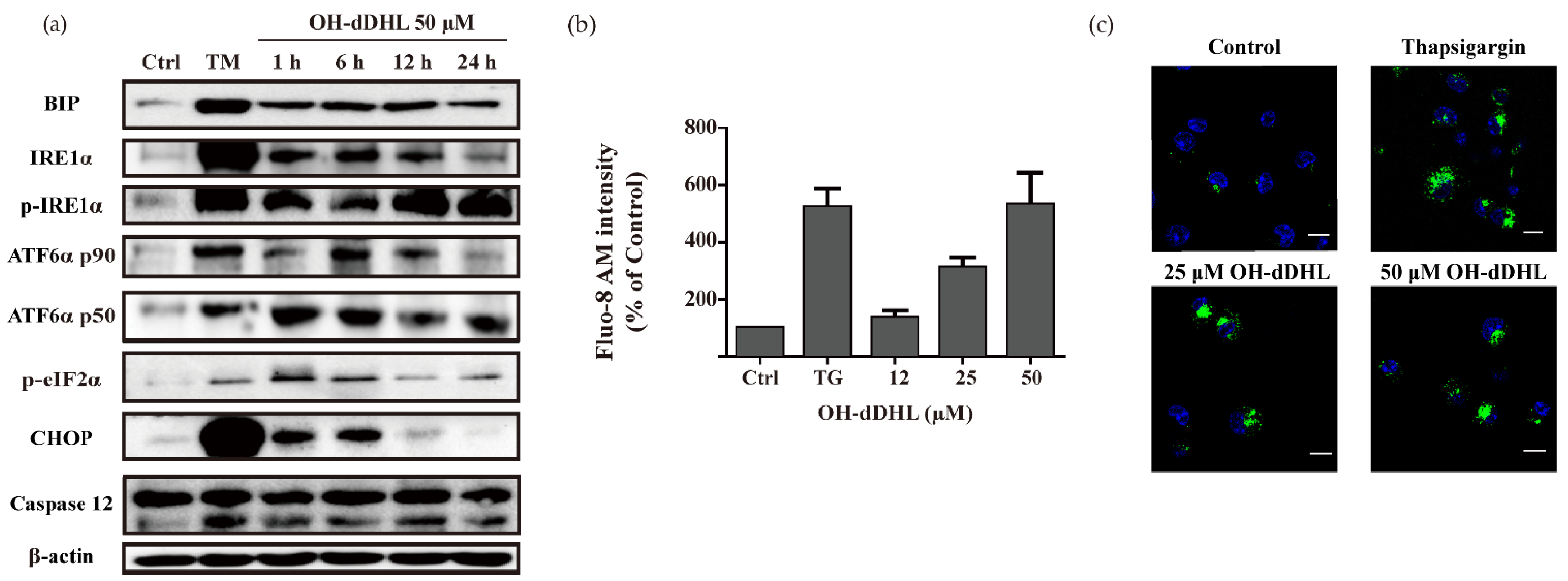 Ijms 22 07565 g004 Ijms 22 07565 g004
