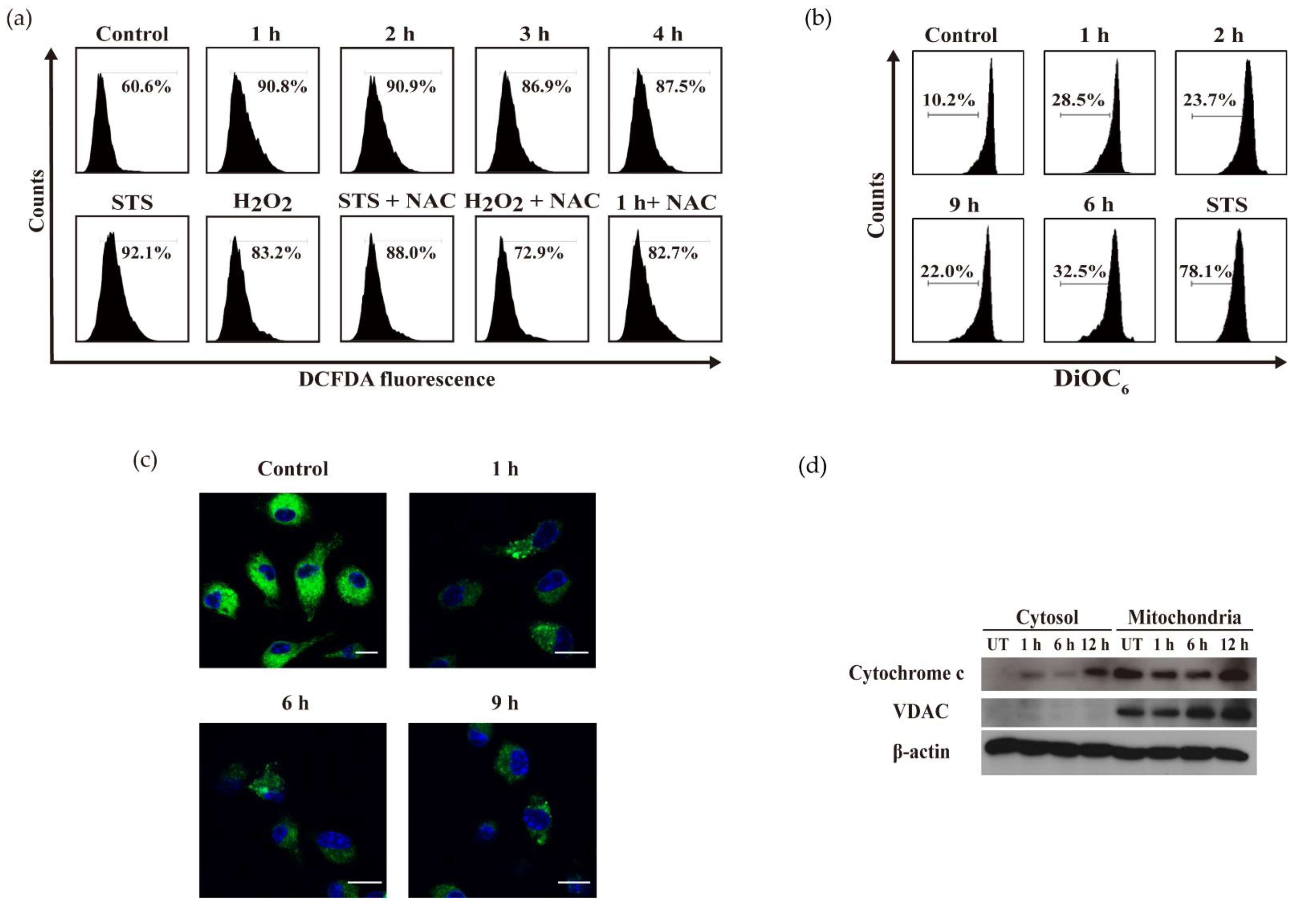 Ijms 22 07565 g005 Ijms 22 07565 g005