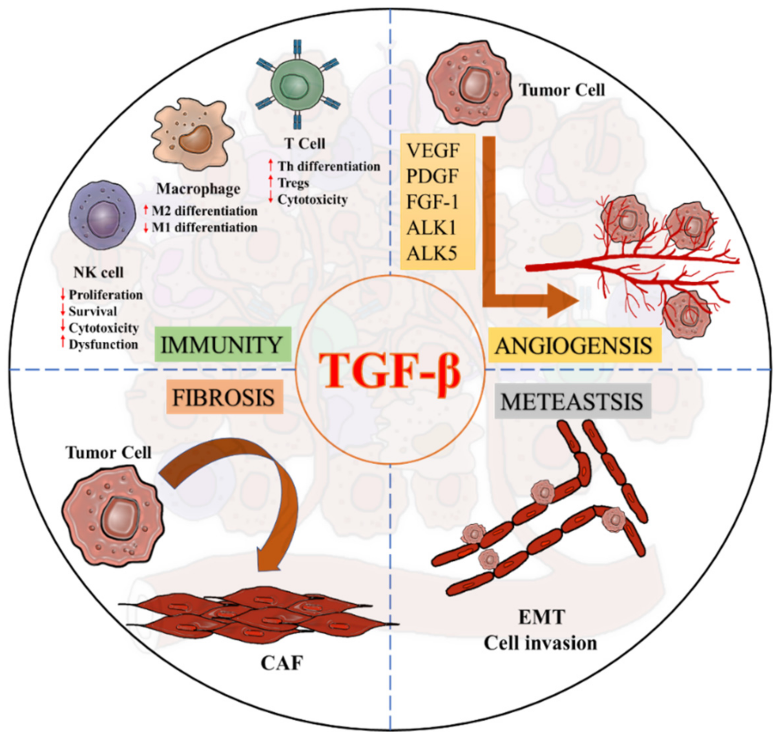 Ijms 22 07575 g004 Ijms 22 07575 g004