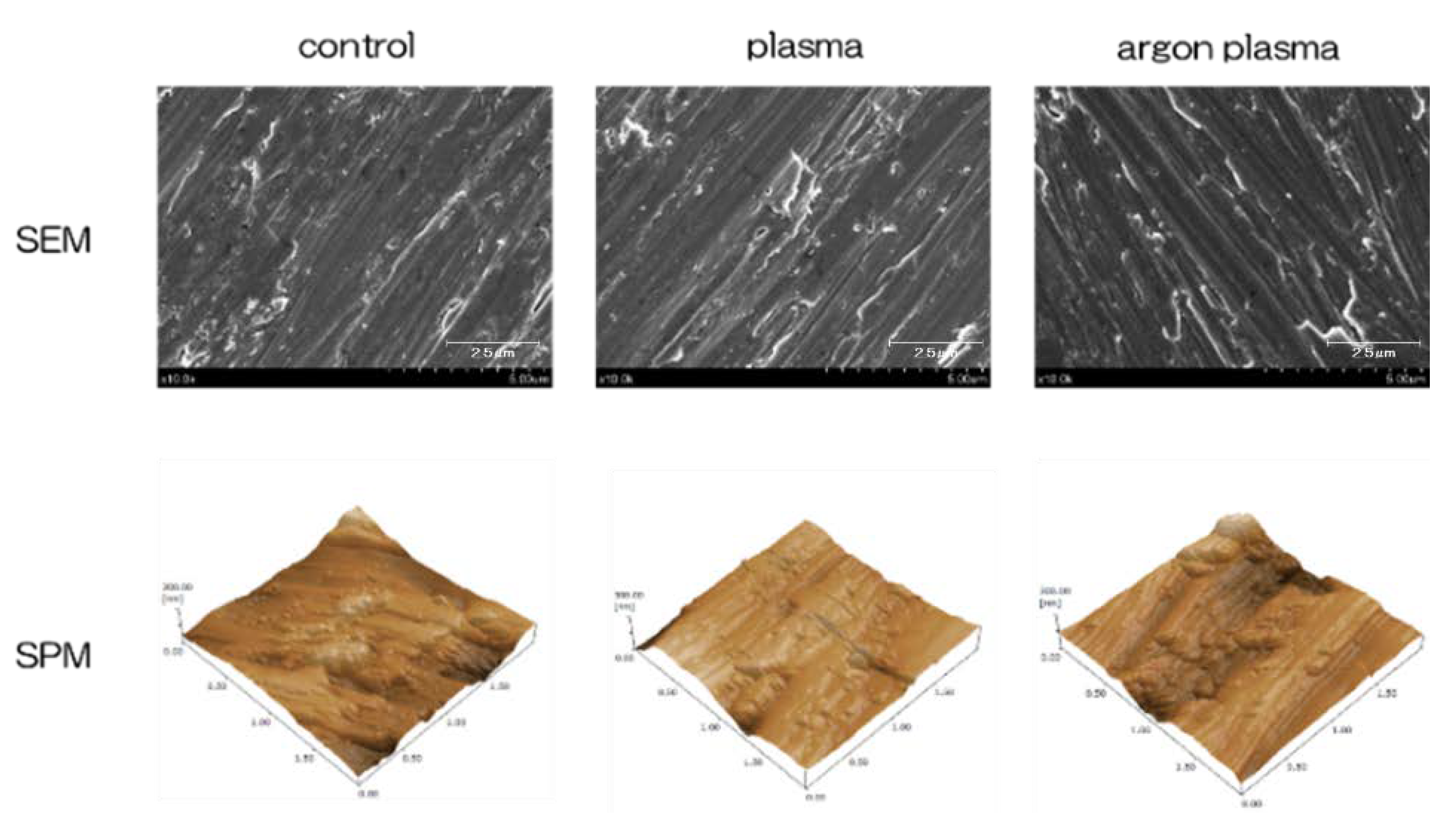 Ijms 22 07617 g001 Ijms 22 07617 g001