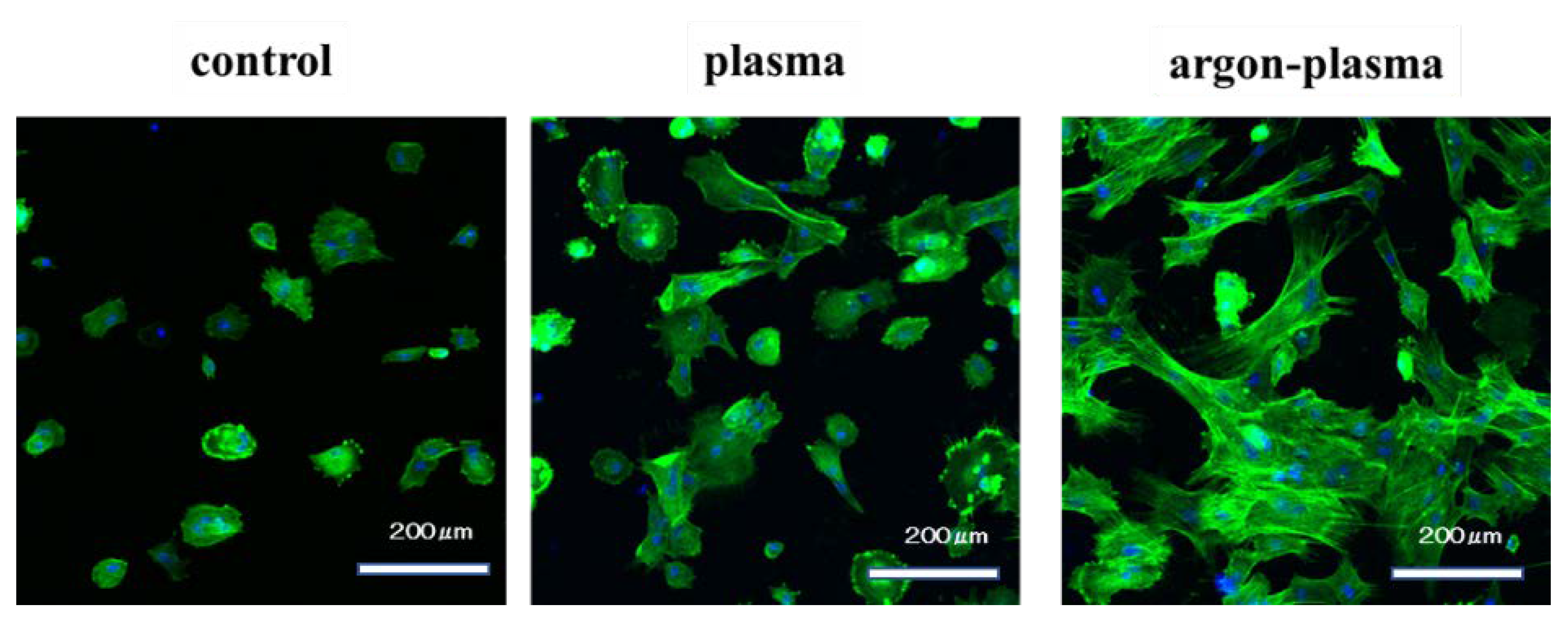 Ijms 22 07617 g004 Ijms 22 07617 g004