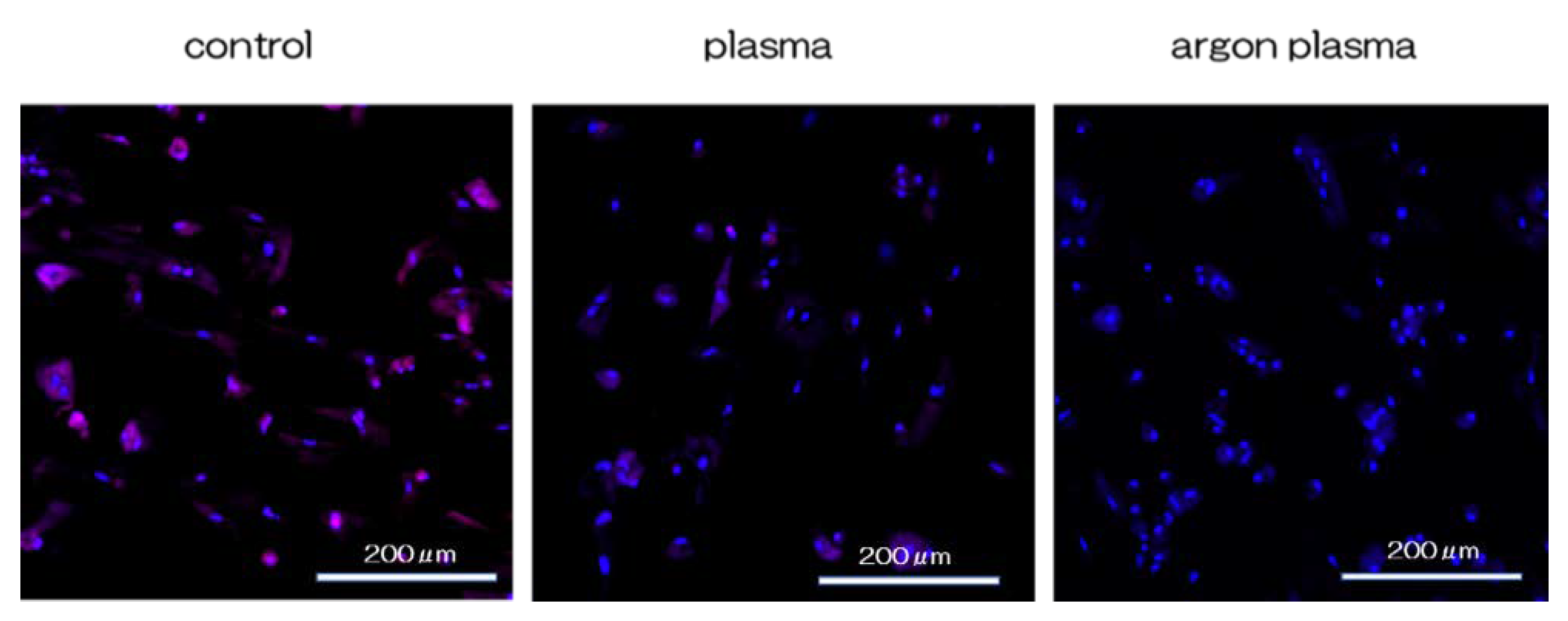 Ijms 22 07617 g008 Ijms 22 07617 g008