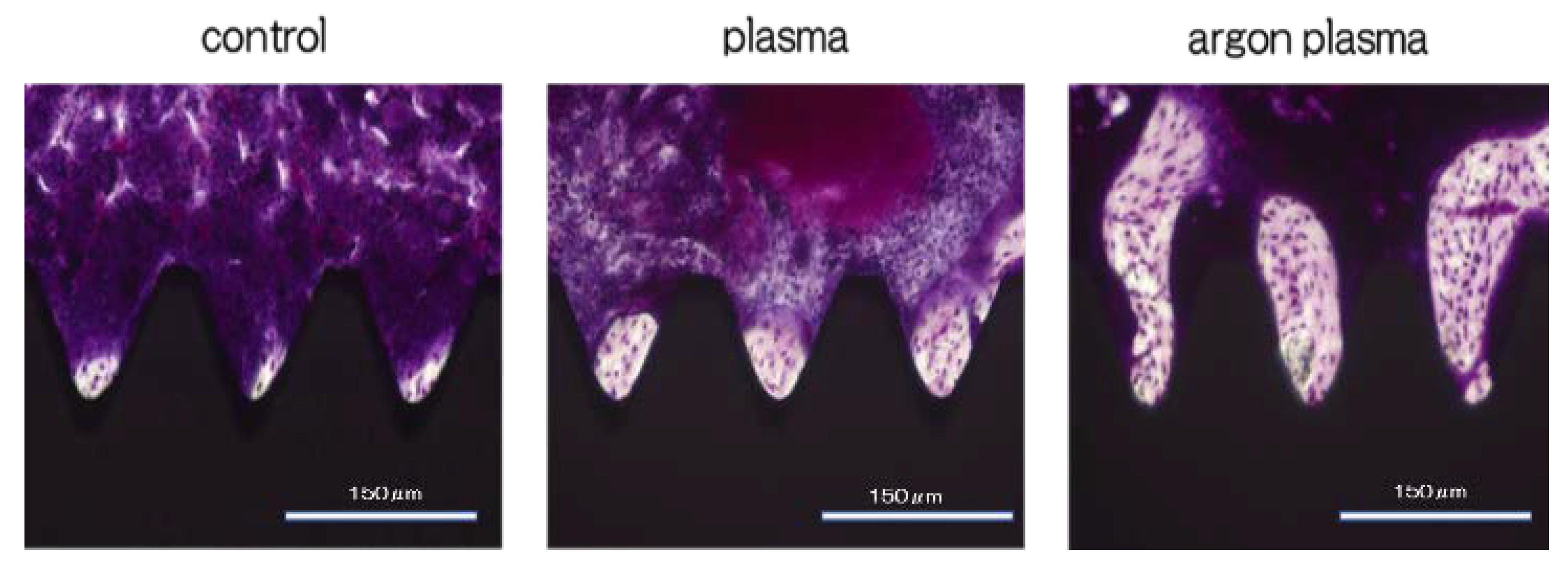 Ijms 22 07617 g011 Ijms 22 07617 g011