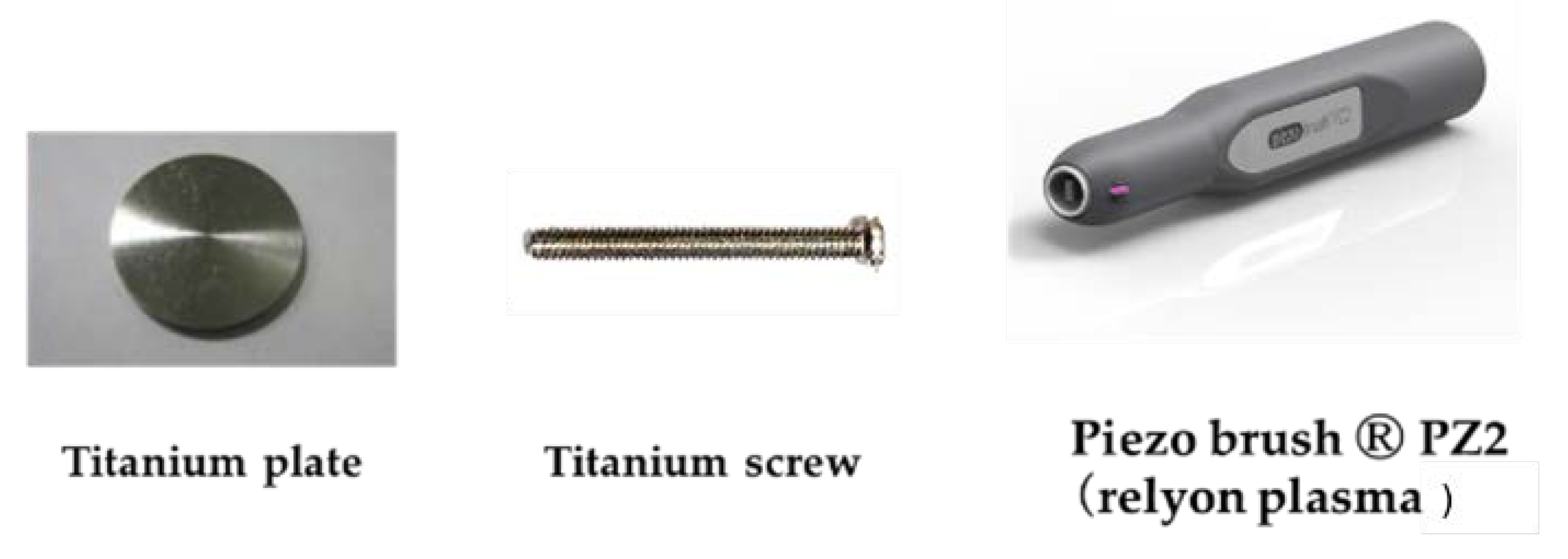 Ijms 22 07617 g013 Ijms 22 07617 g013