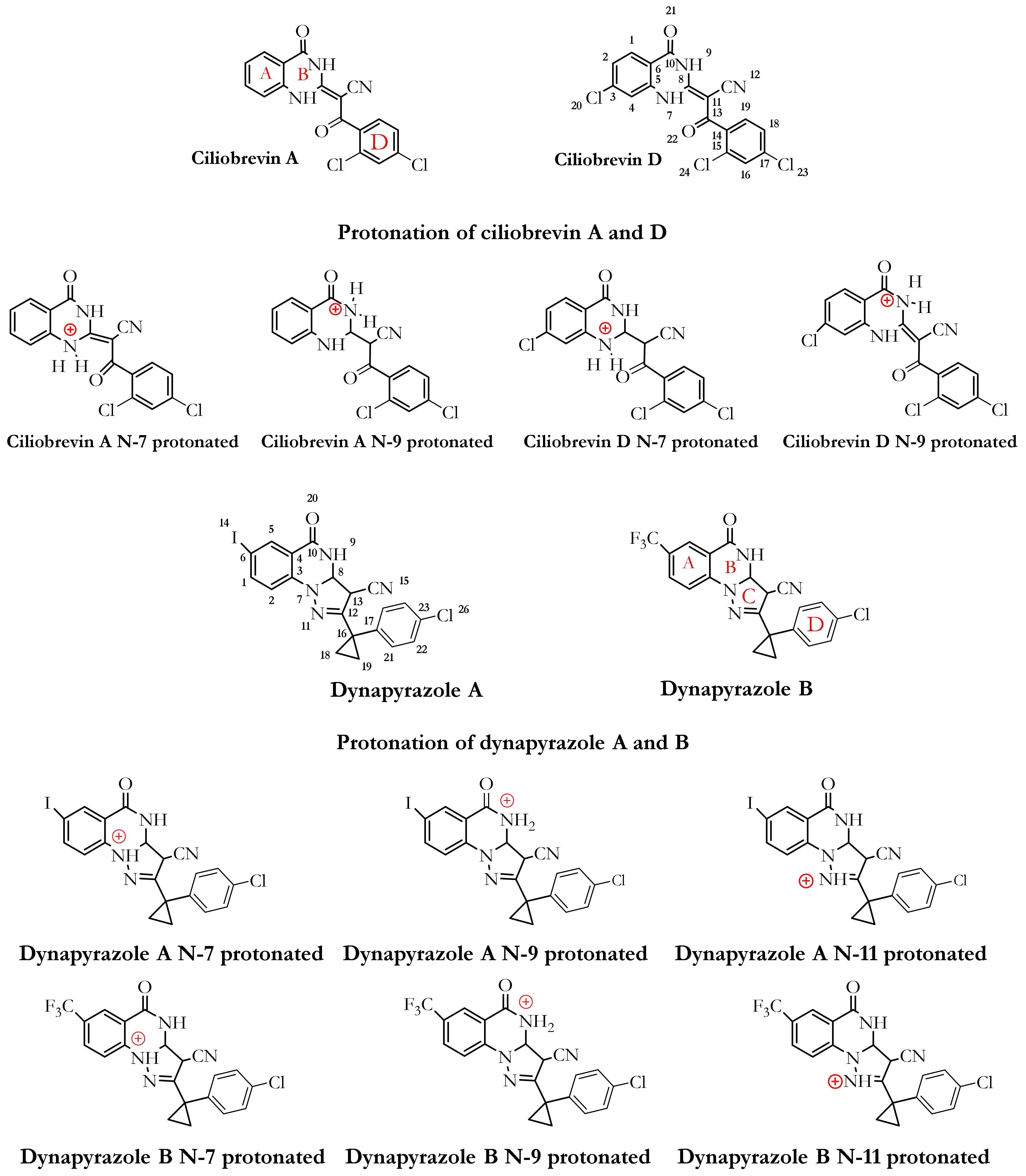 Ijms 22 07704 g004 Ijms 22 07704 g004
