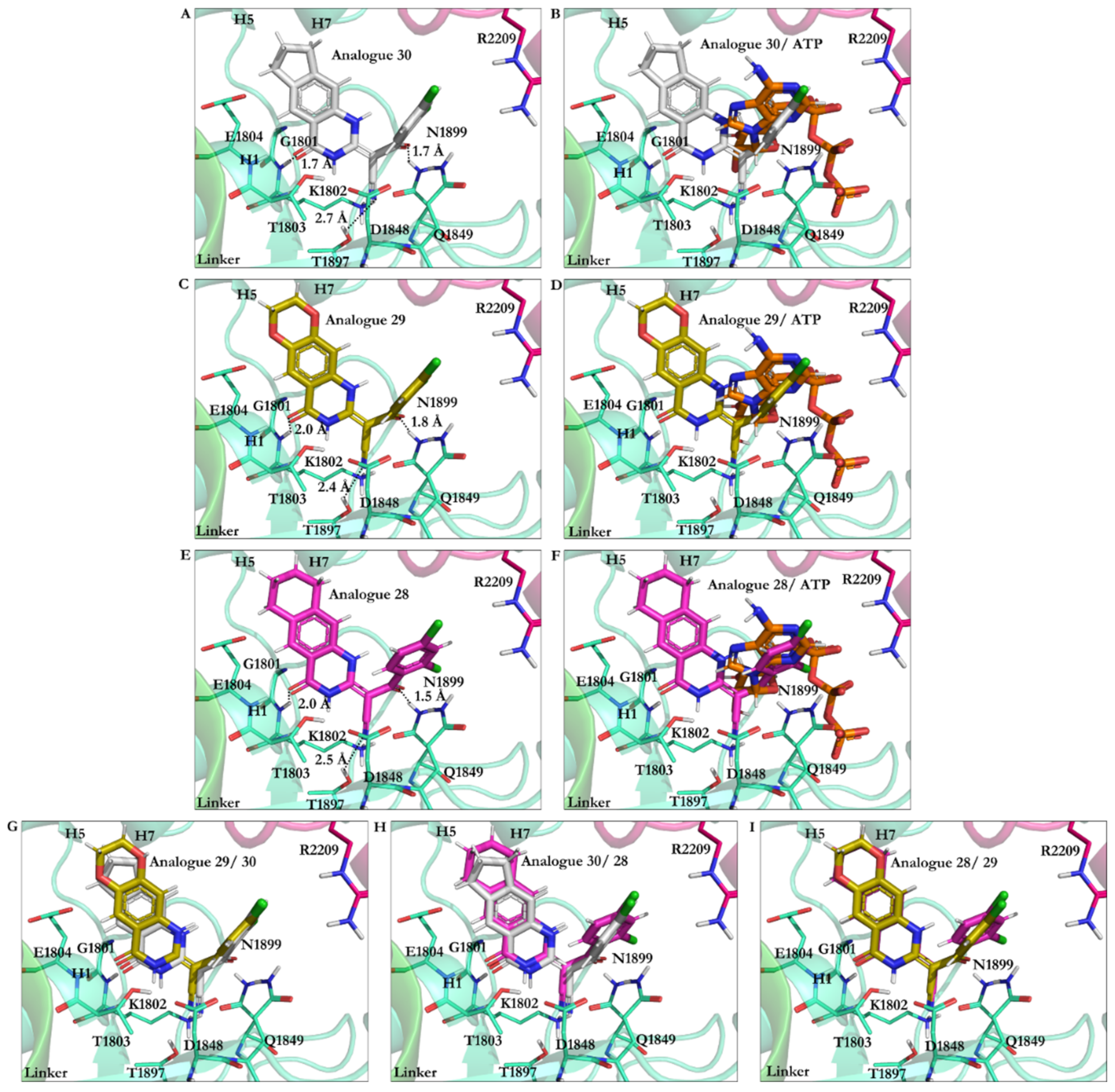 Ijms 22 07704 g009 Ijms 22 07704 g009