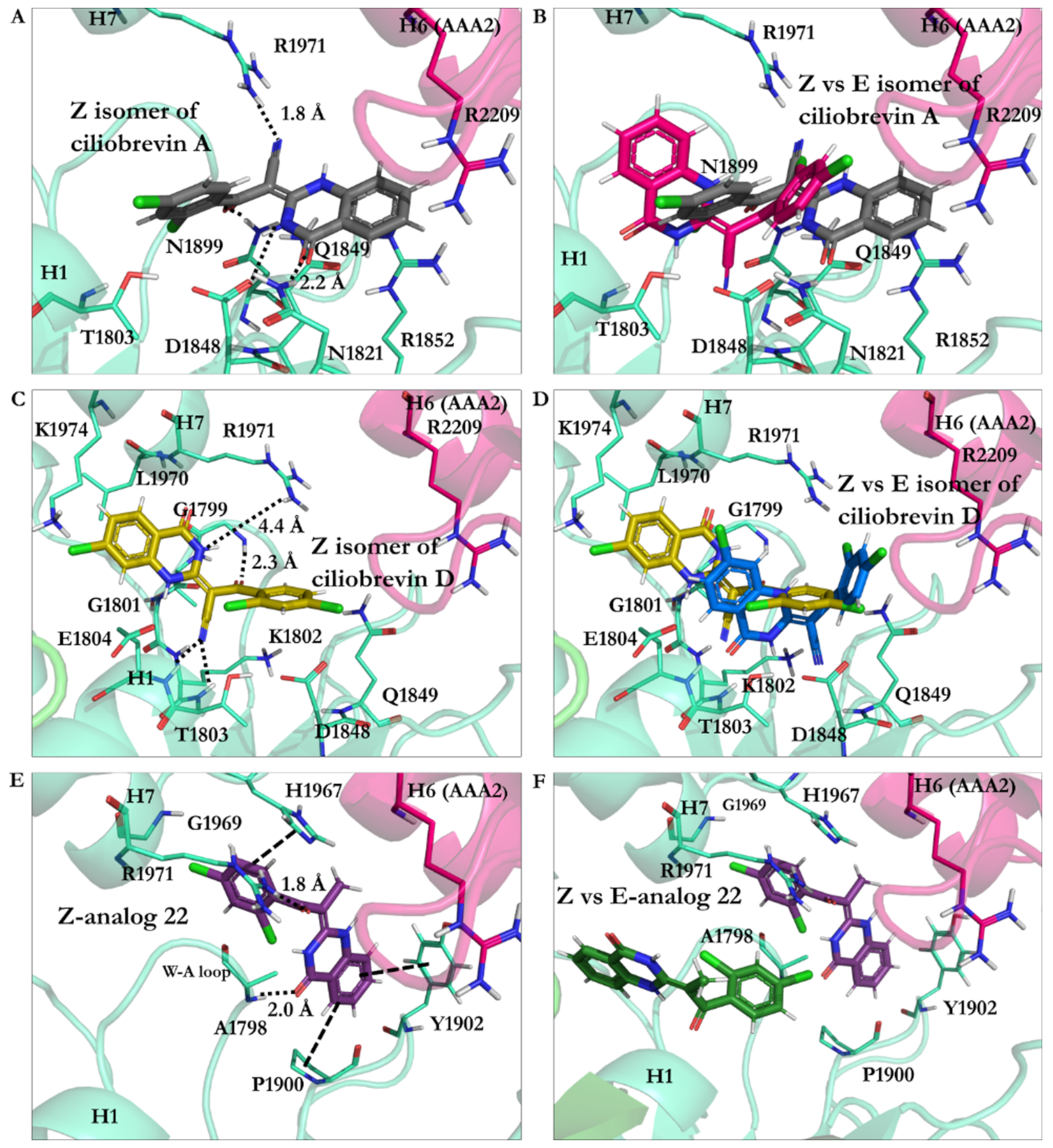 Ijms 22 07704 g010 Ijms 22 07704 g010