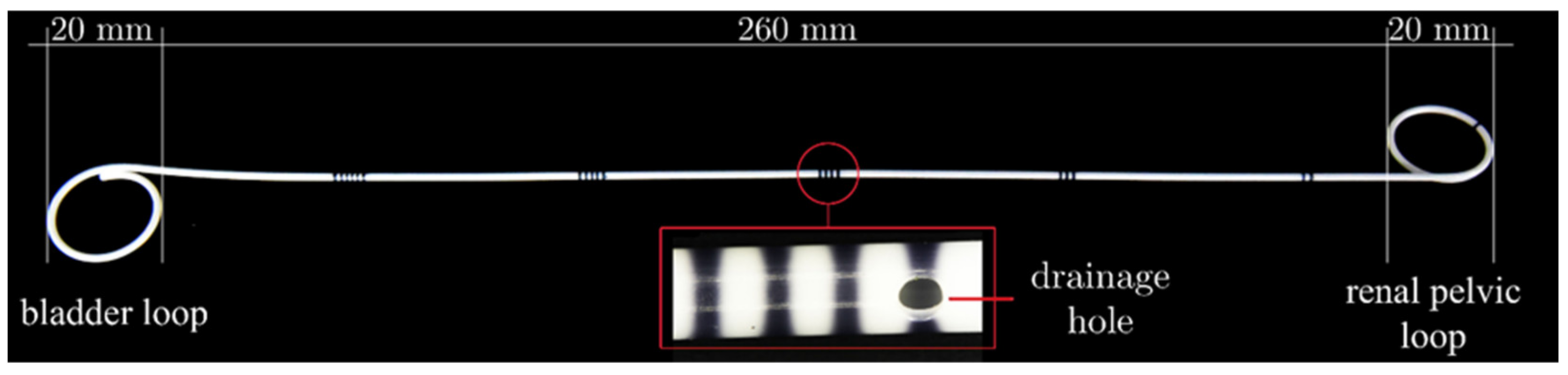 Ijms 22 07705 g002