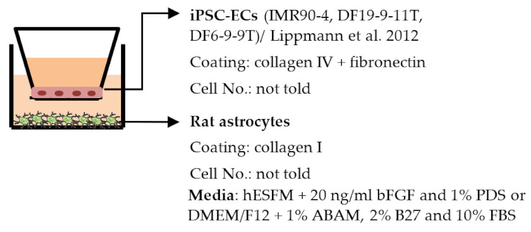 Ijms 22 07710 i001 Ijms 22 07710 i001