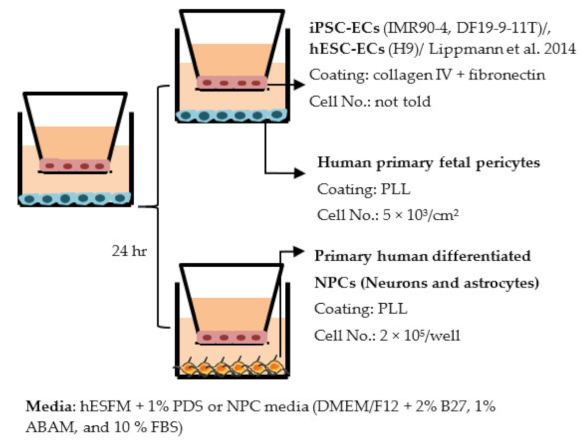 Ijms 22 07710 i002 Ijms 22 07710 i002