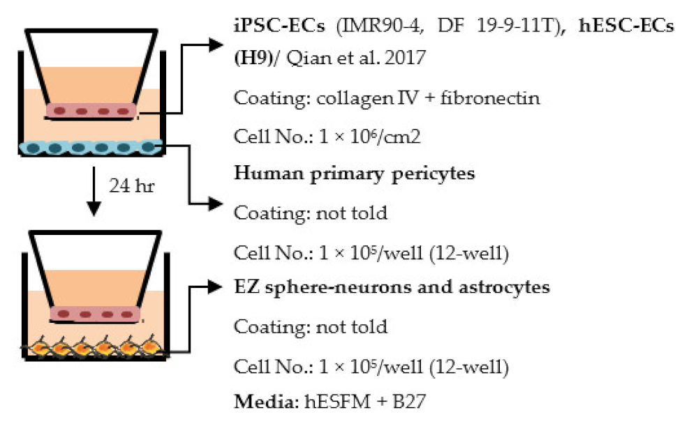 Ijms 22 07710 i003 Ijms 22 07710 i003