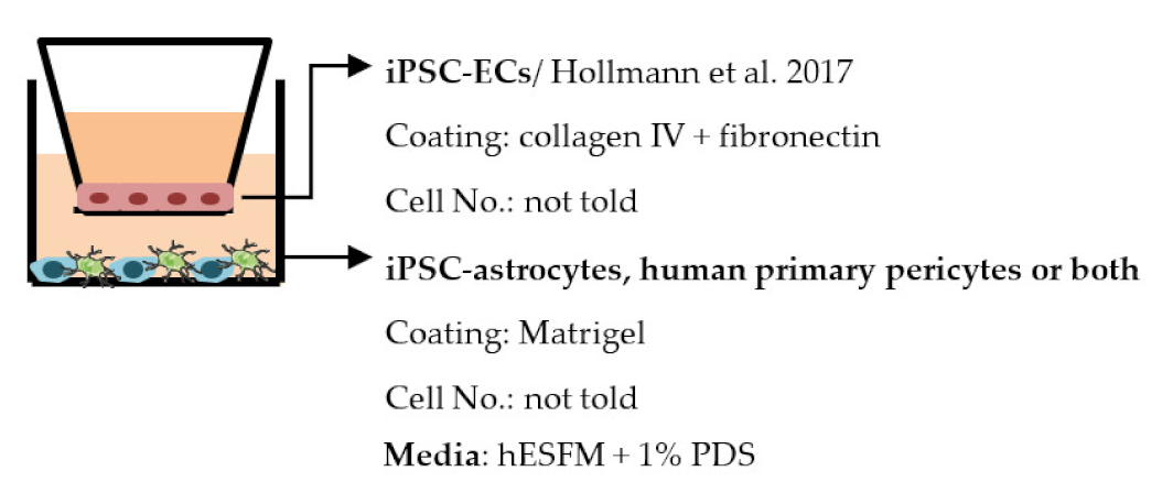 Ijms 22 07710 i004 Ijms 22 07710 i004