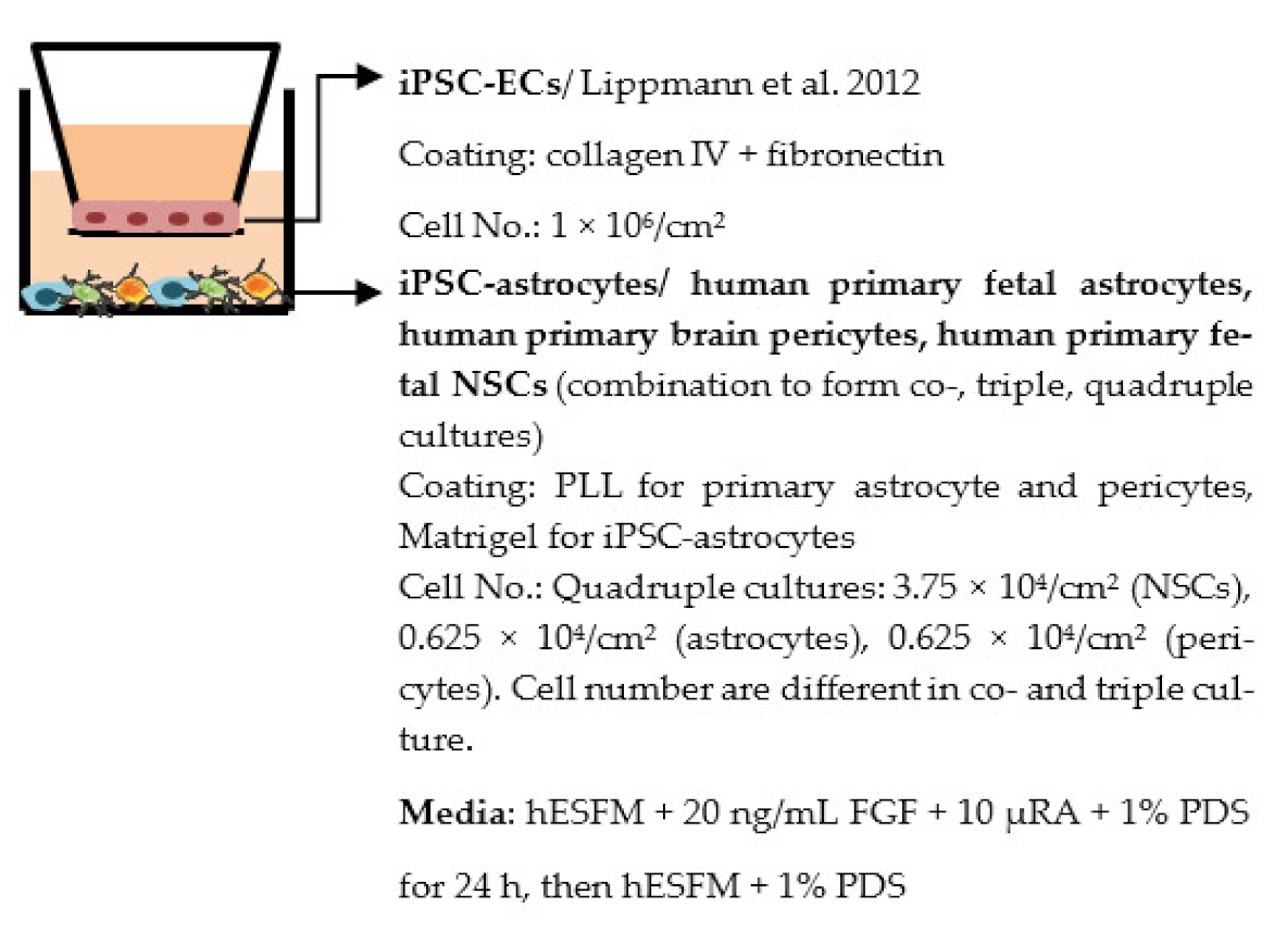 Ijms 22 07710 i005 Ijms 22 07710 i005