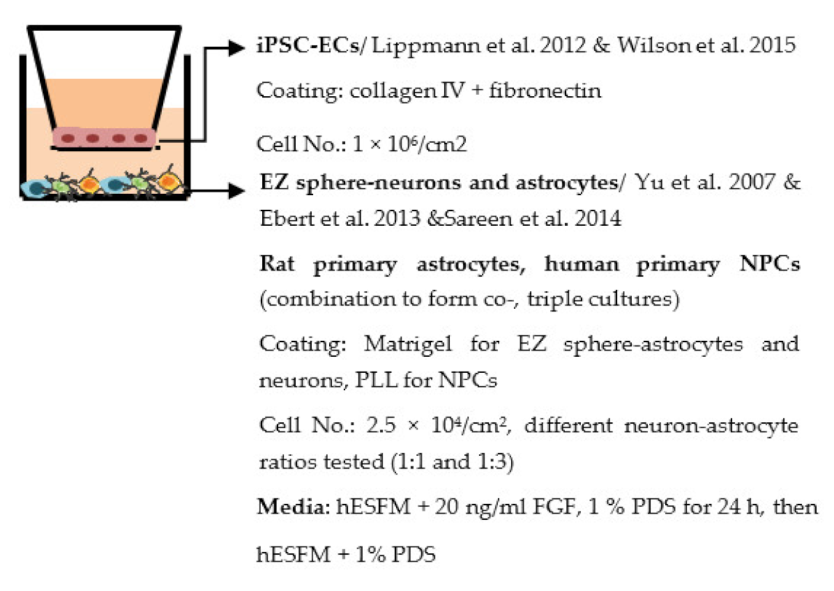 Ijms 22 07710 i006 Ijms 22 07710 i006