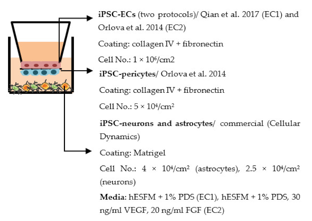 Ijms 22 07710 i007 Ijms 22 07710 i007